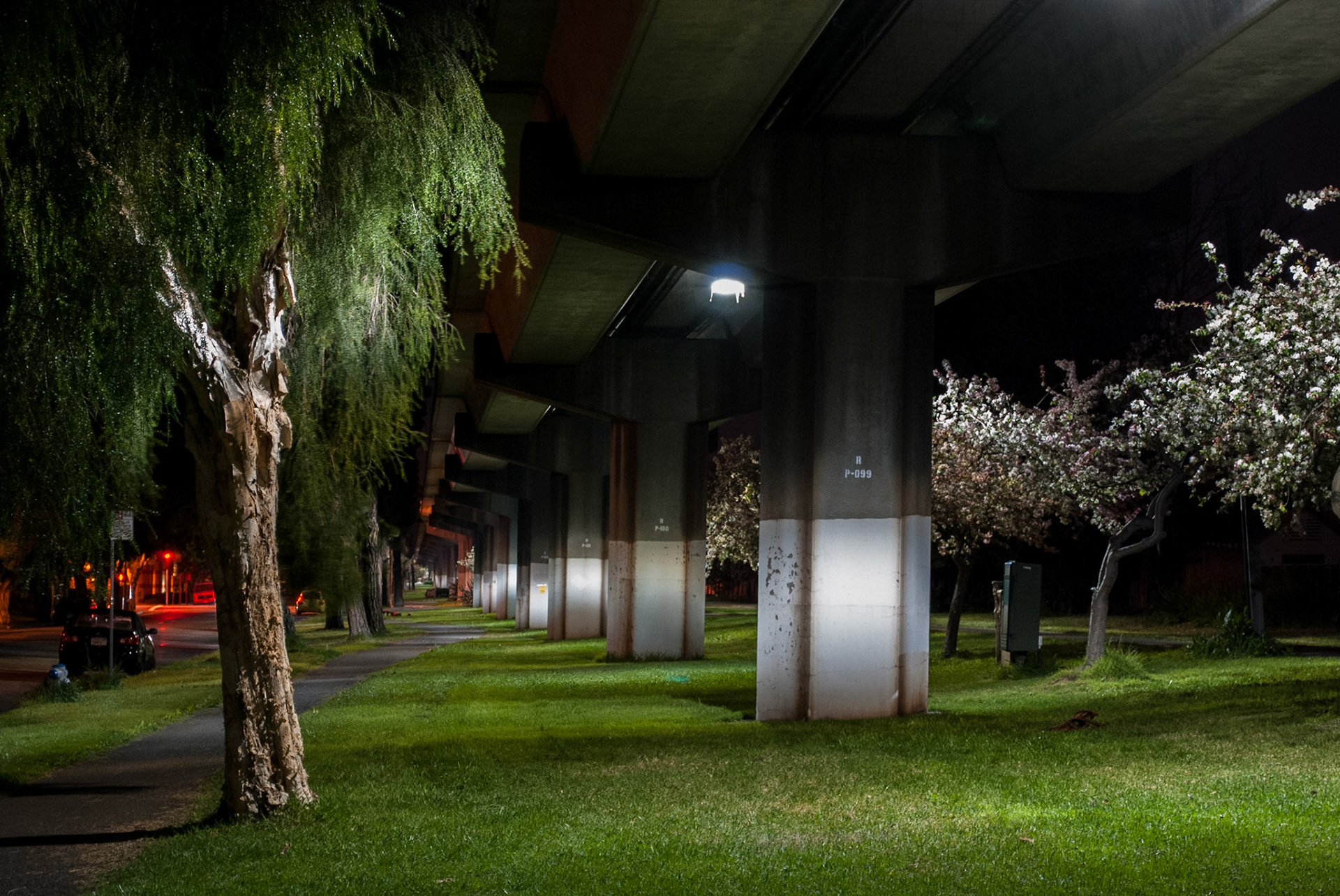 "Ohlone Night," Albany, CA. March,2010.