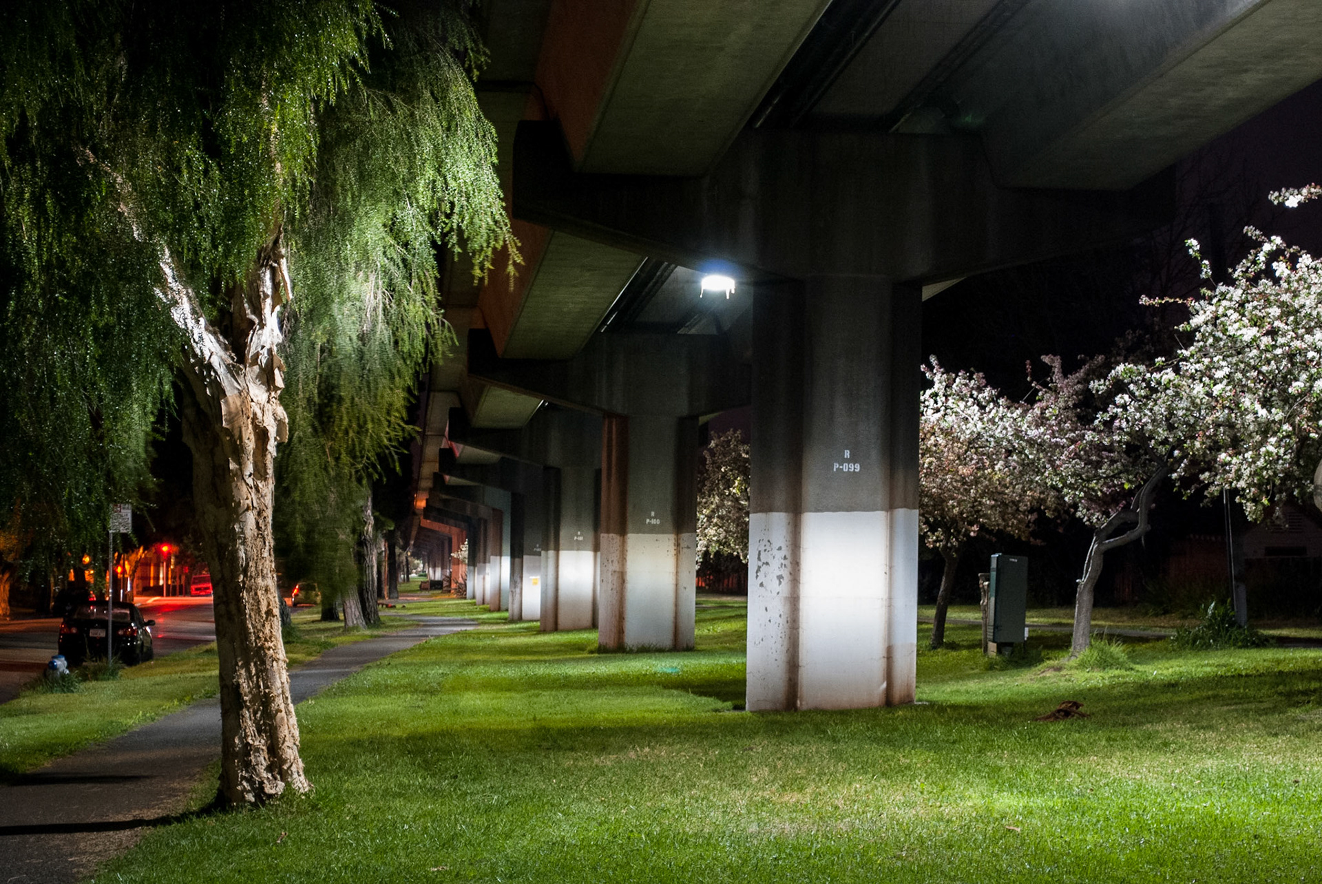 "Ohlone Night," Albany, CA. March,2010.