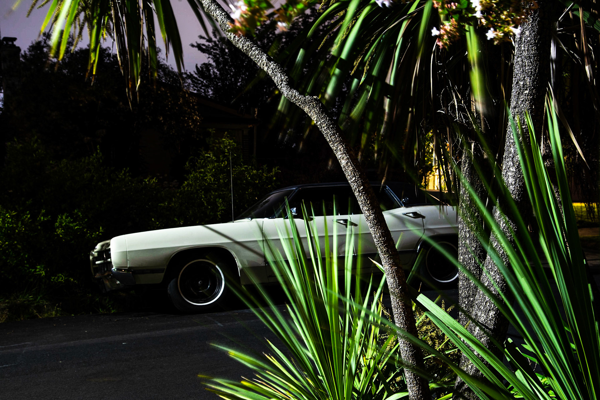 "Berkeley Park, 11:11 pm," Berkeley CA, July 2018