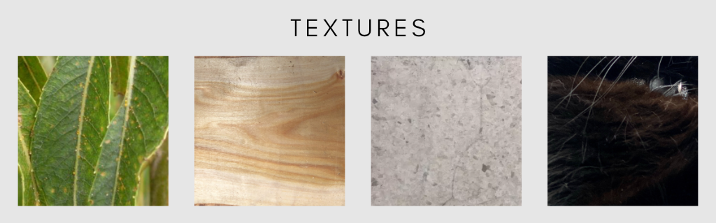 Texture Inspiration for Willo Beach Sanctuary