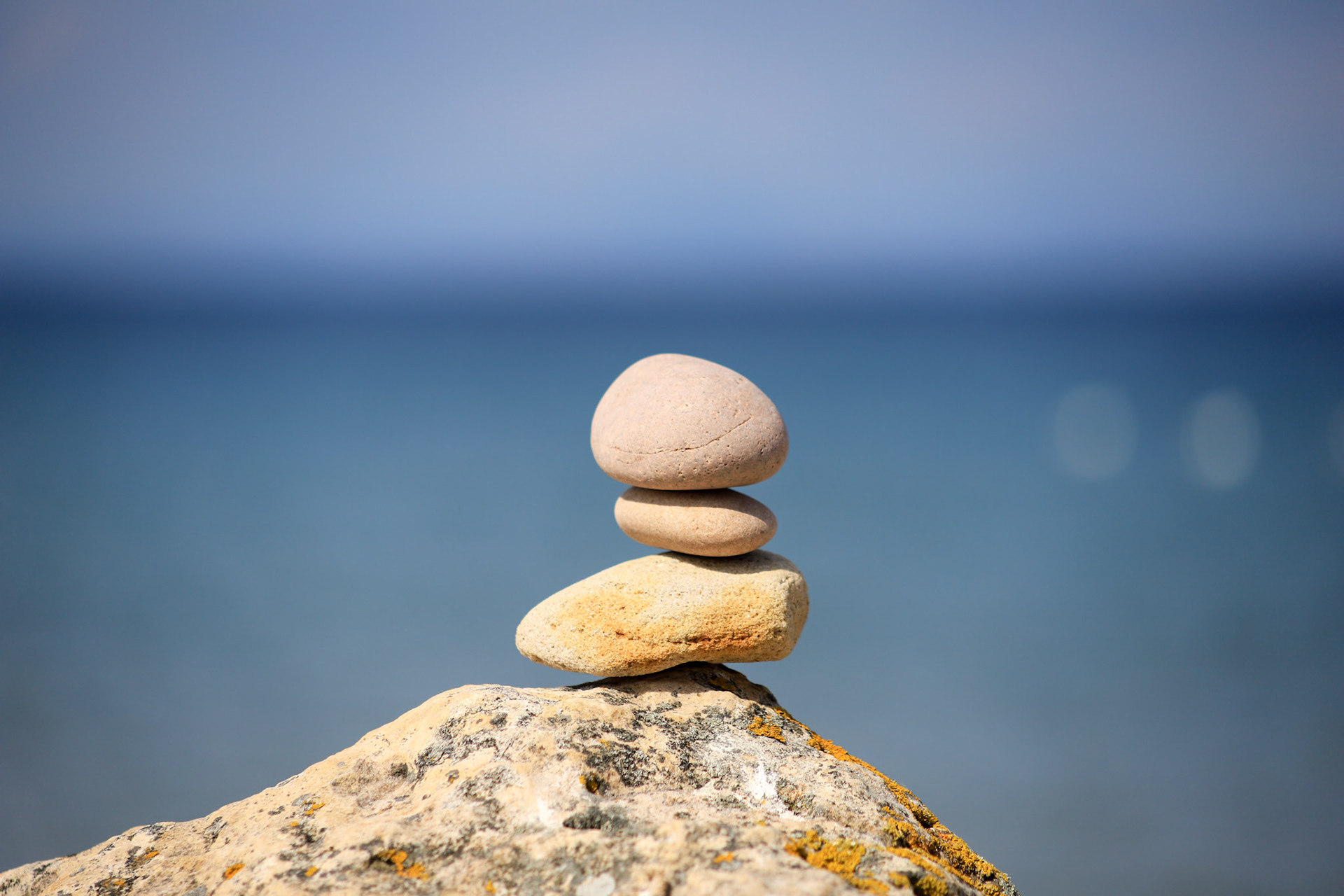 A life in balance