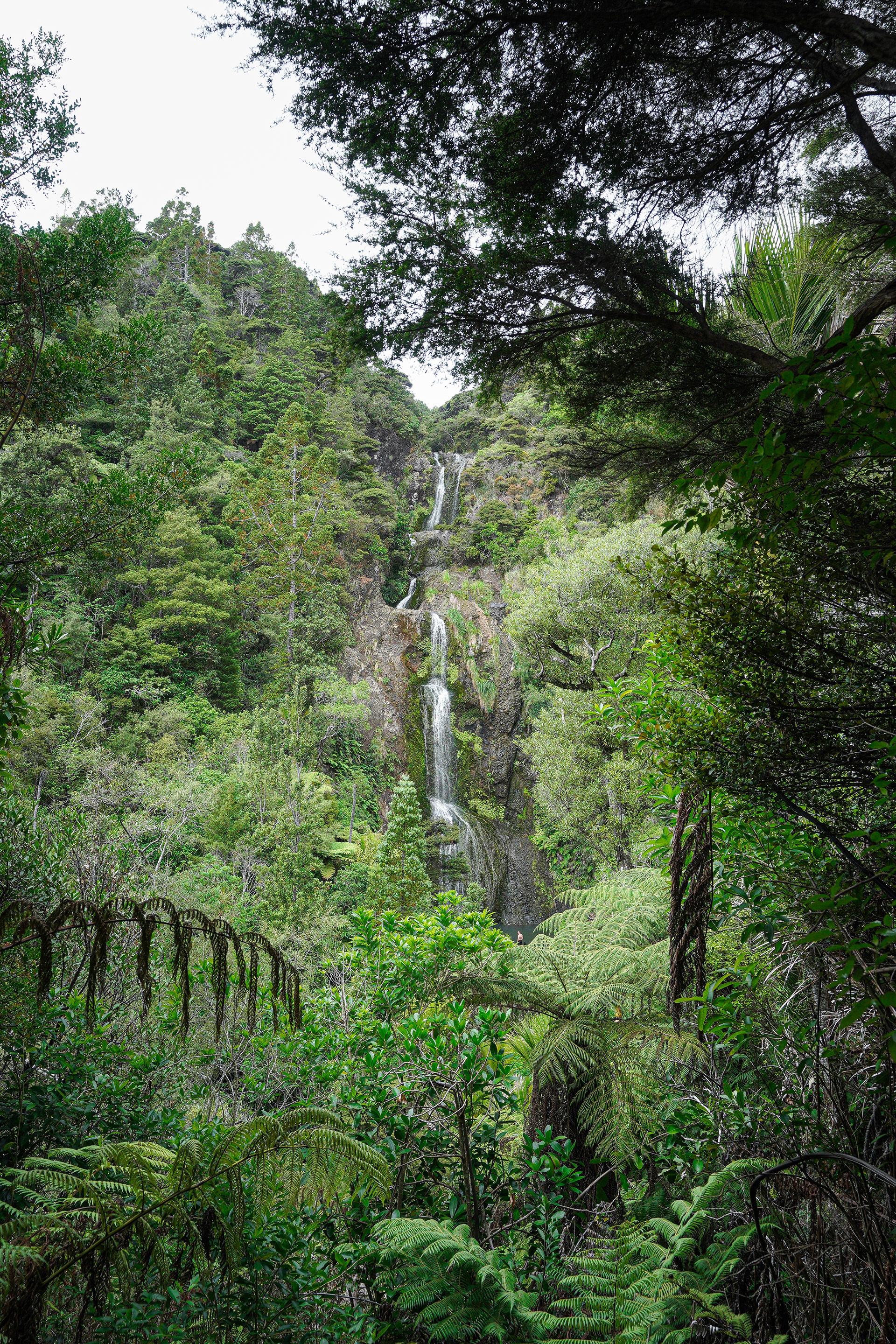 Kitekite Falls, NZ
