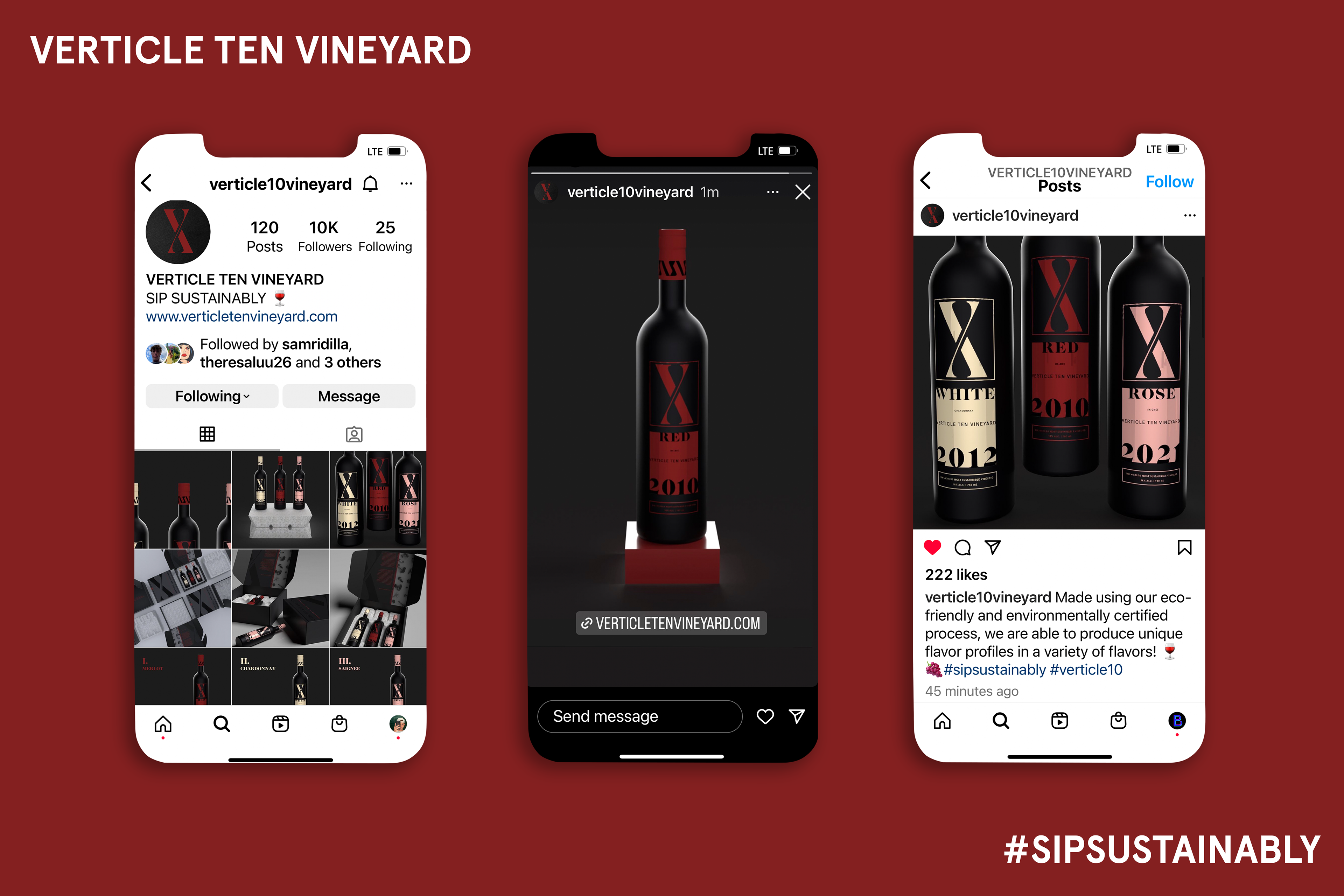 Instagram profile image, story post, and an instagram post on a red background.