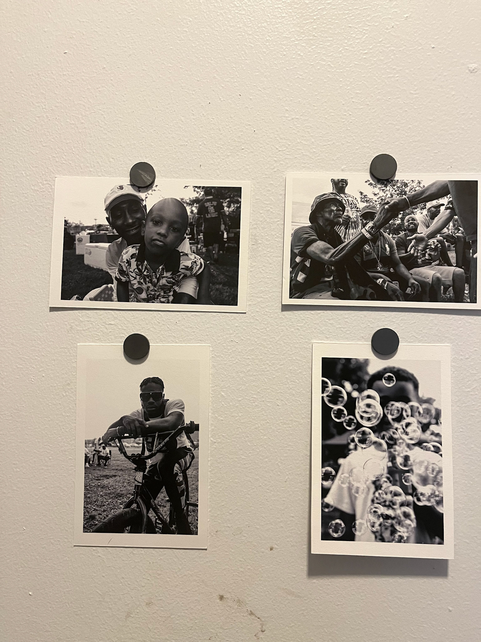 Lo Life: Family Picnic (4x6 Hahnemuel)