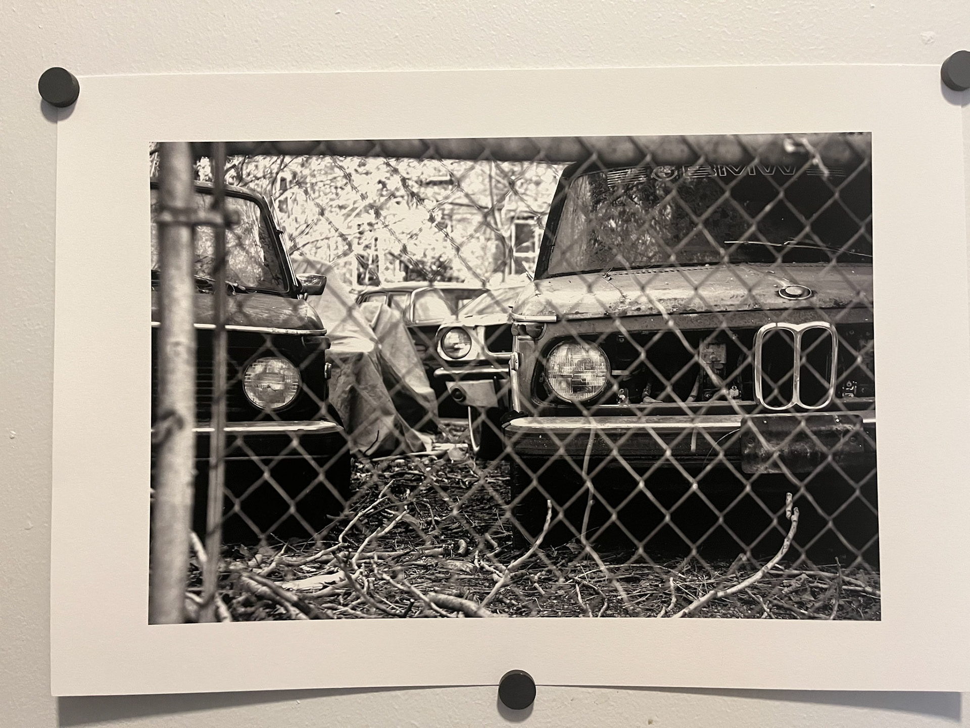 Sim Simma (13x19 Cotton Rag)