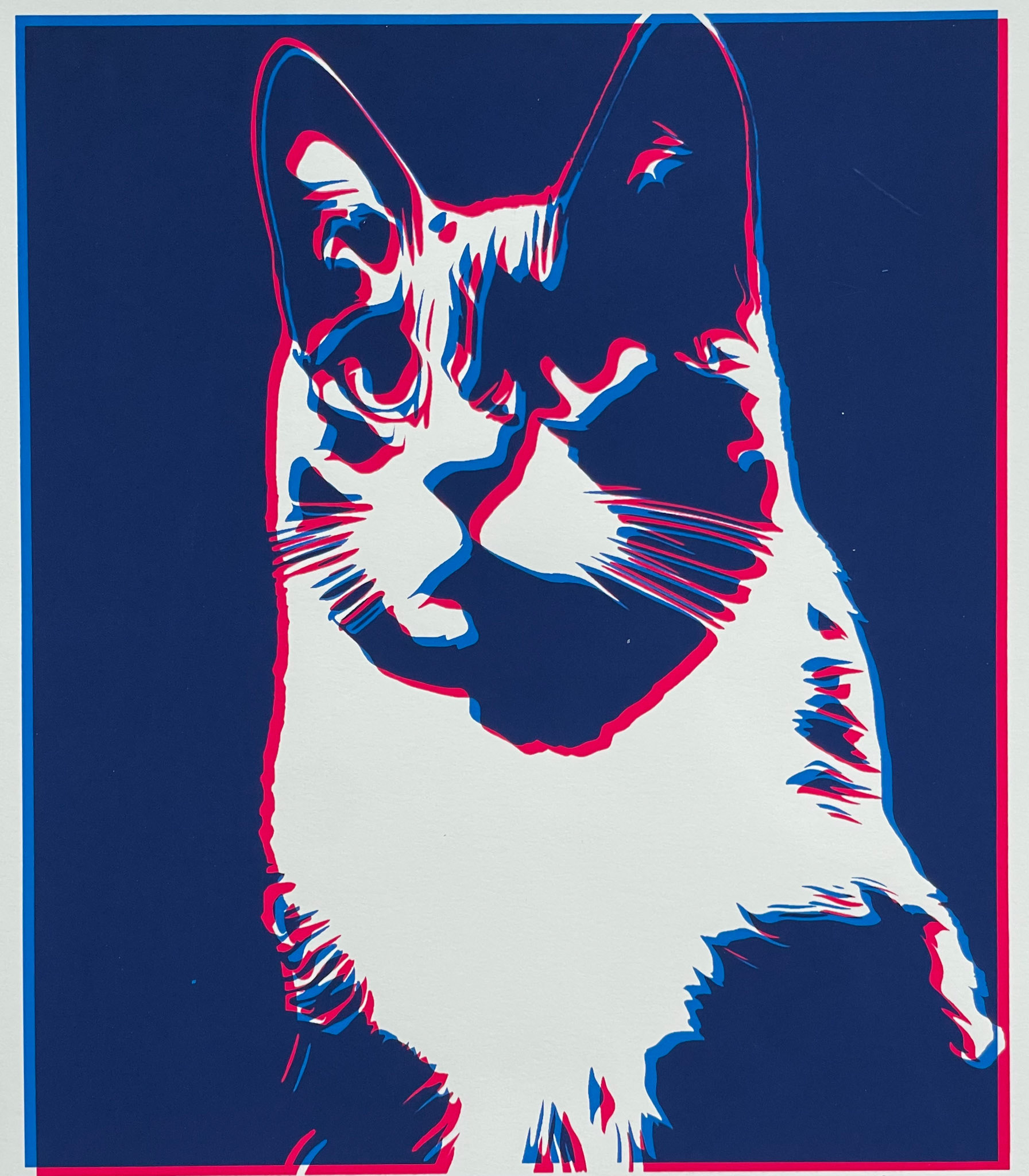 Single layer overprinted with two colors