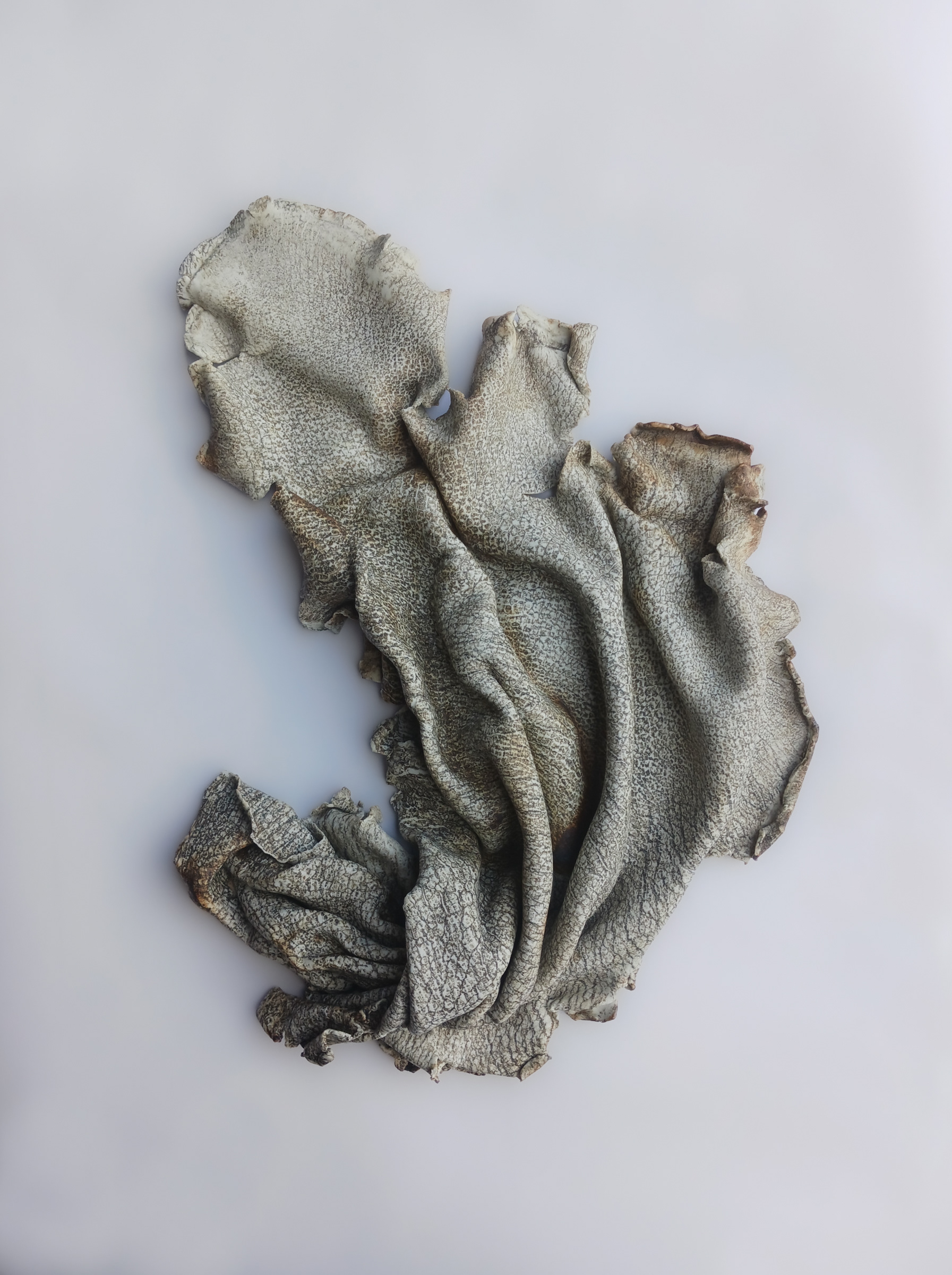 Twist No. 7  24"x18"x4"