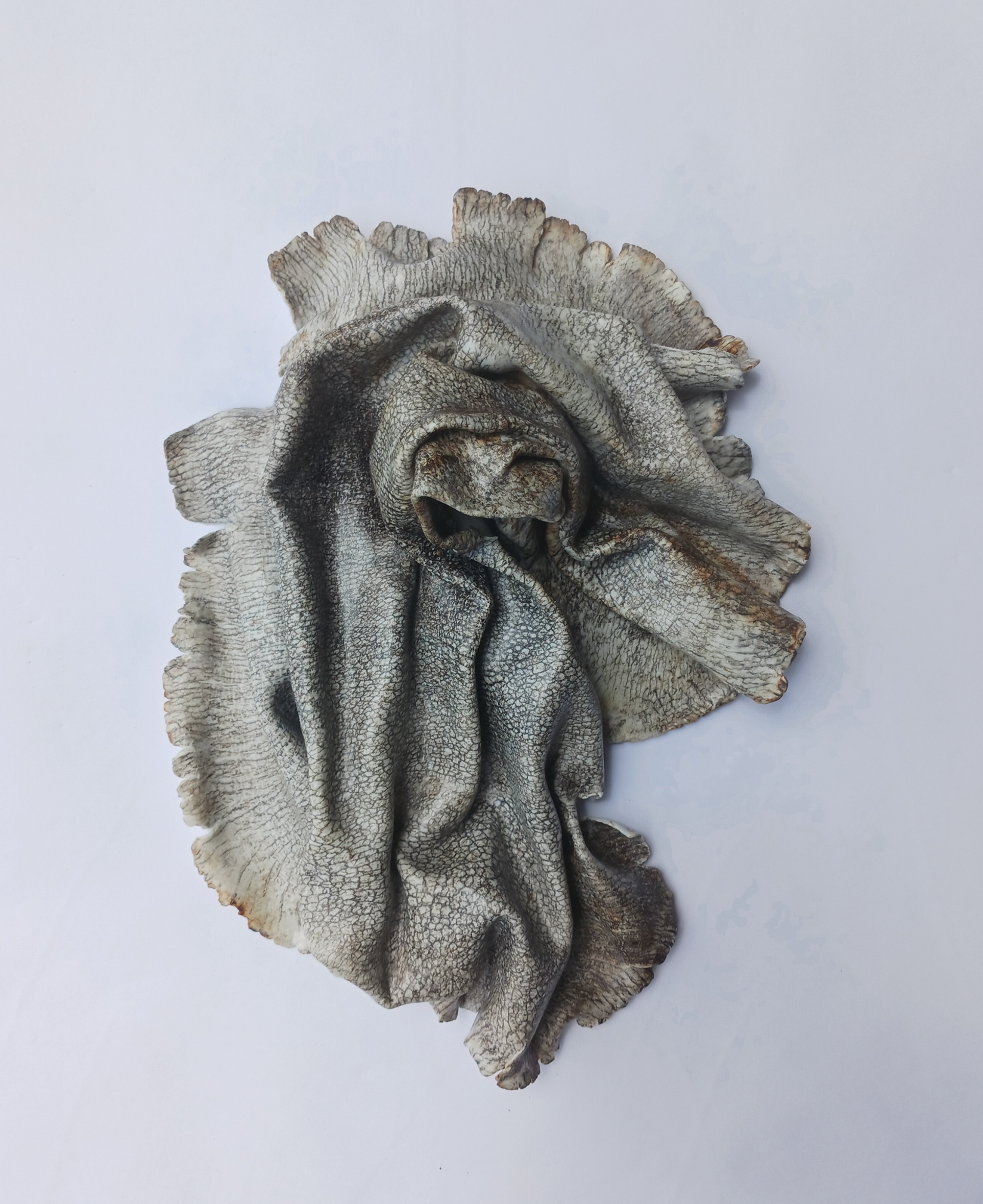 Skin Series 11"x9"x4"