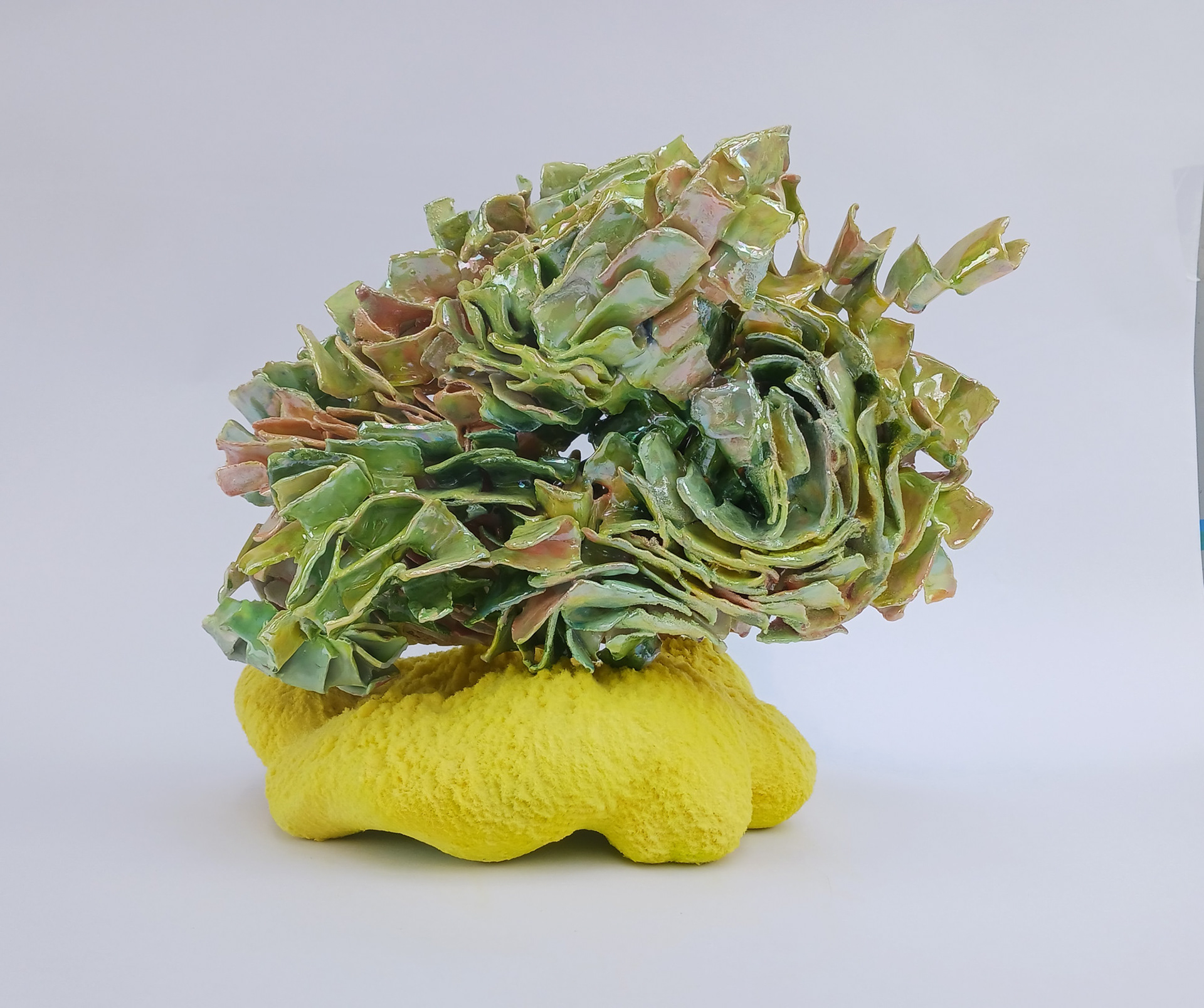 My Little Pony Fucks Harder,   20" x 22" x 14"