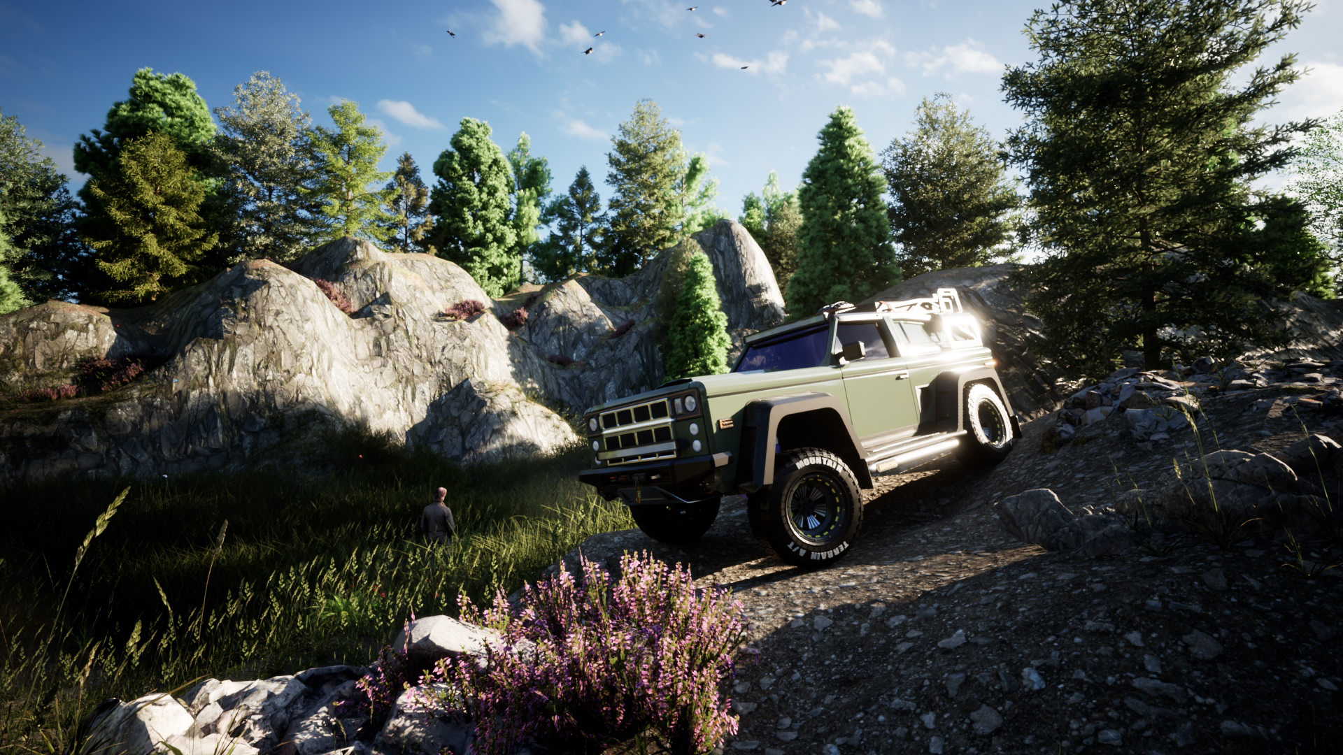 BRONCO - AUTOMOTIVE LANDSCAPE STUDY