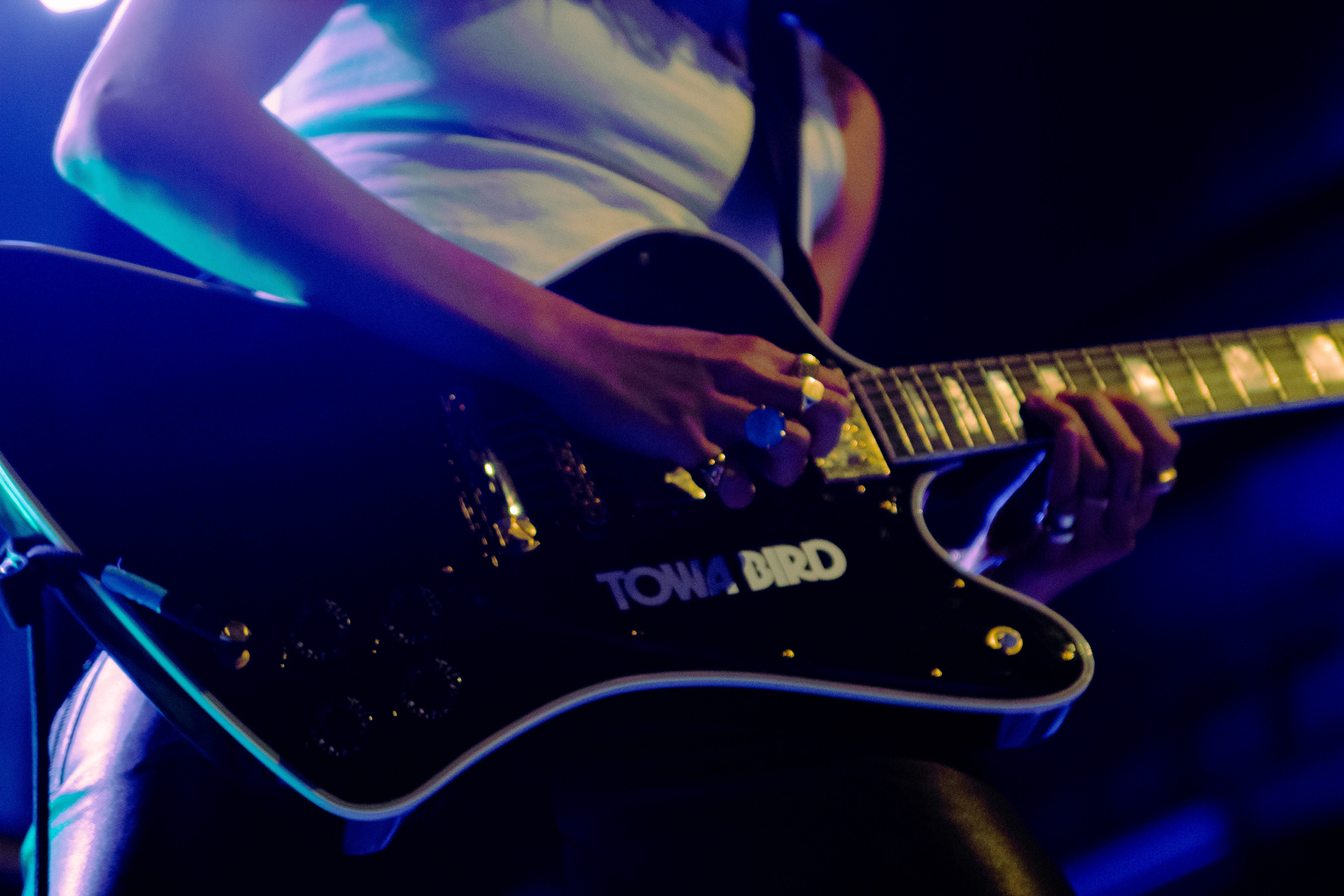 Towa Bird, 2023 - Opener