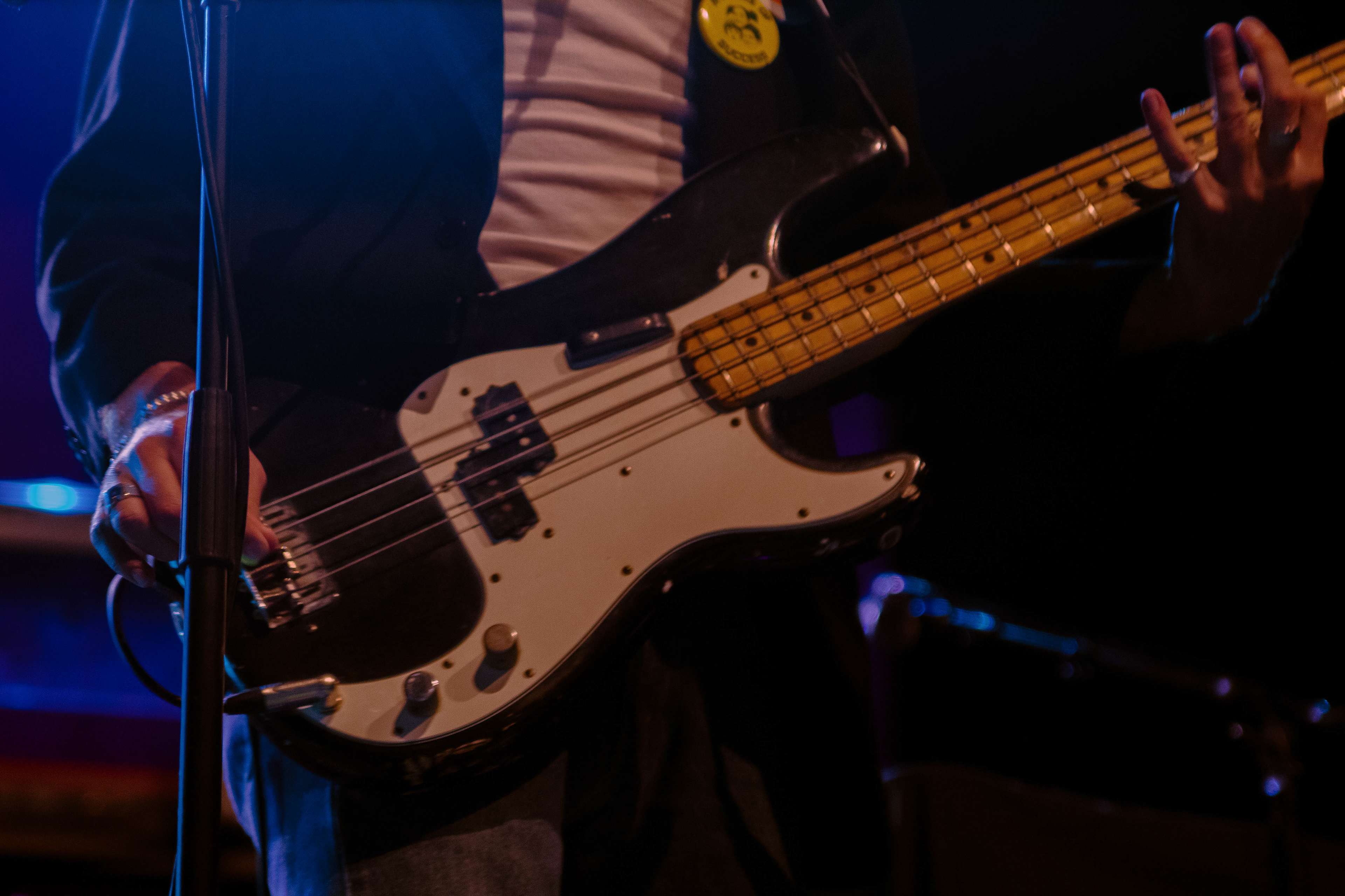 Towa Bird, 2023 - Opener