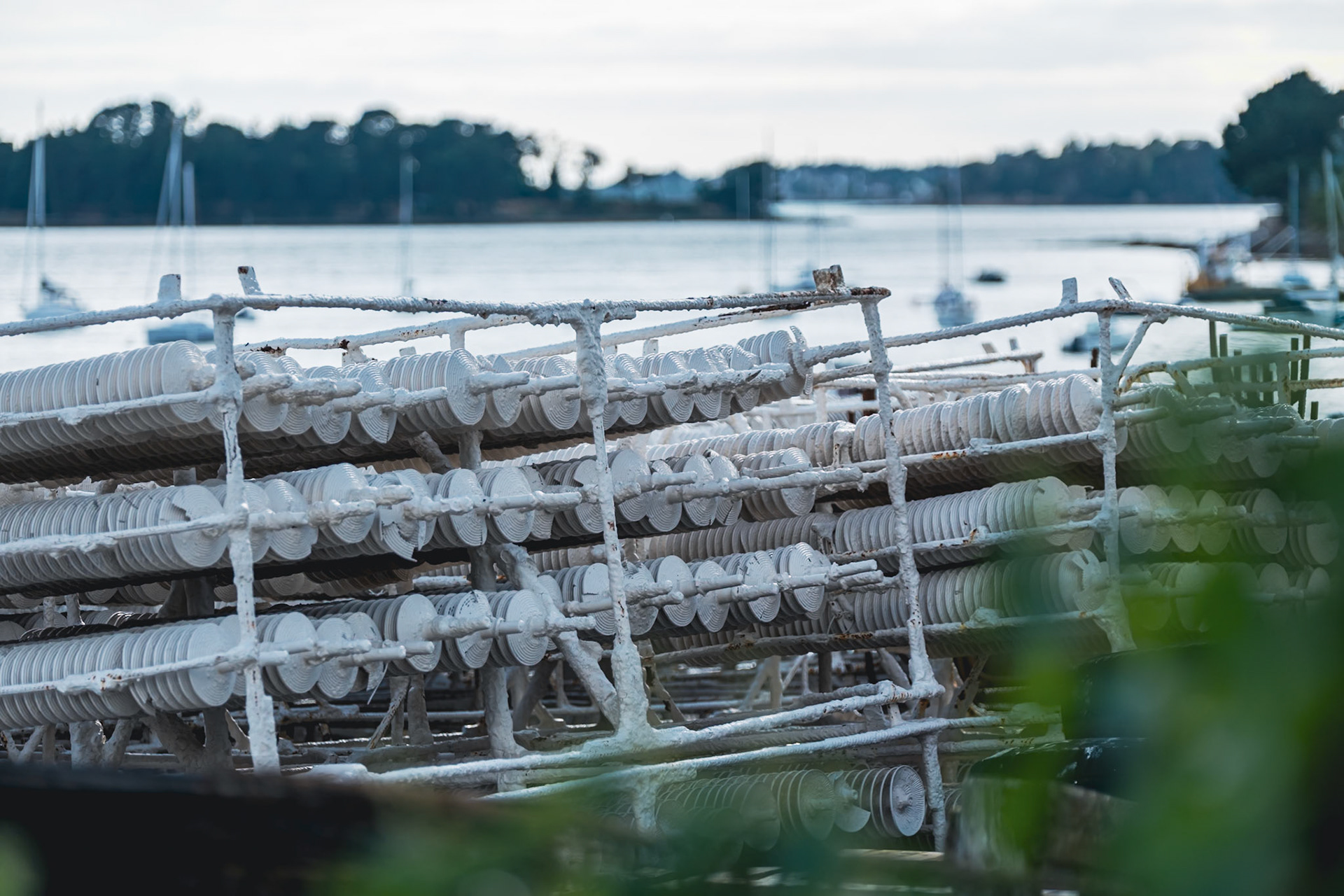 Port de Larmor-Baden dans le golfe du Morbihan
