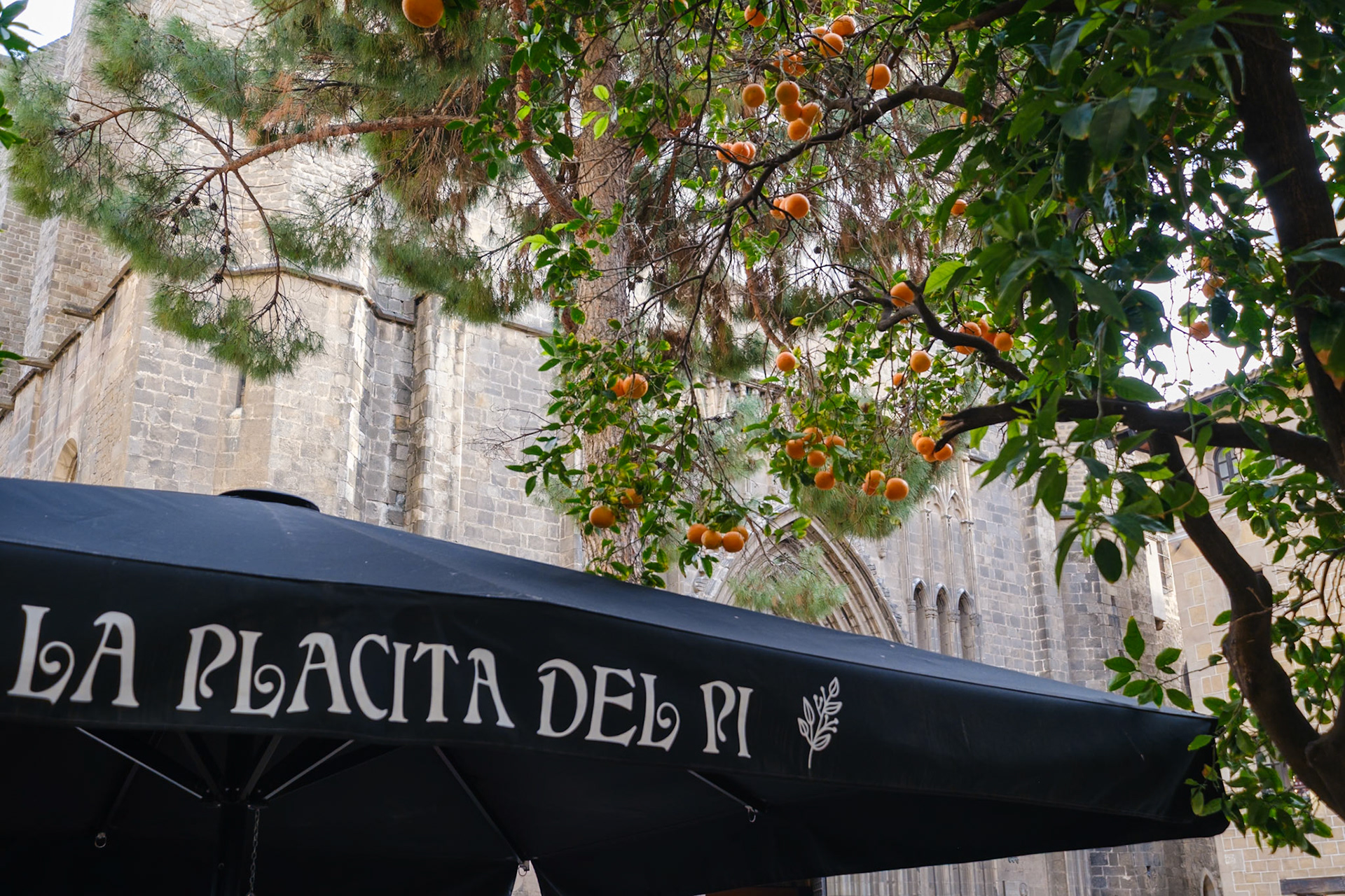 Placita del Pi à proximité de la Basílica de Santa Maria del Pi