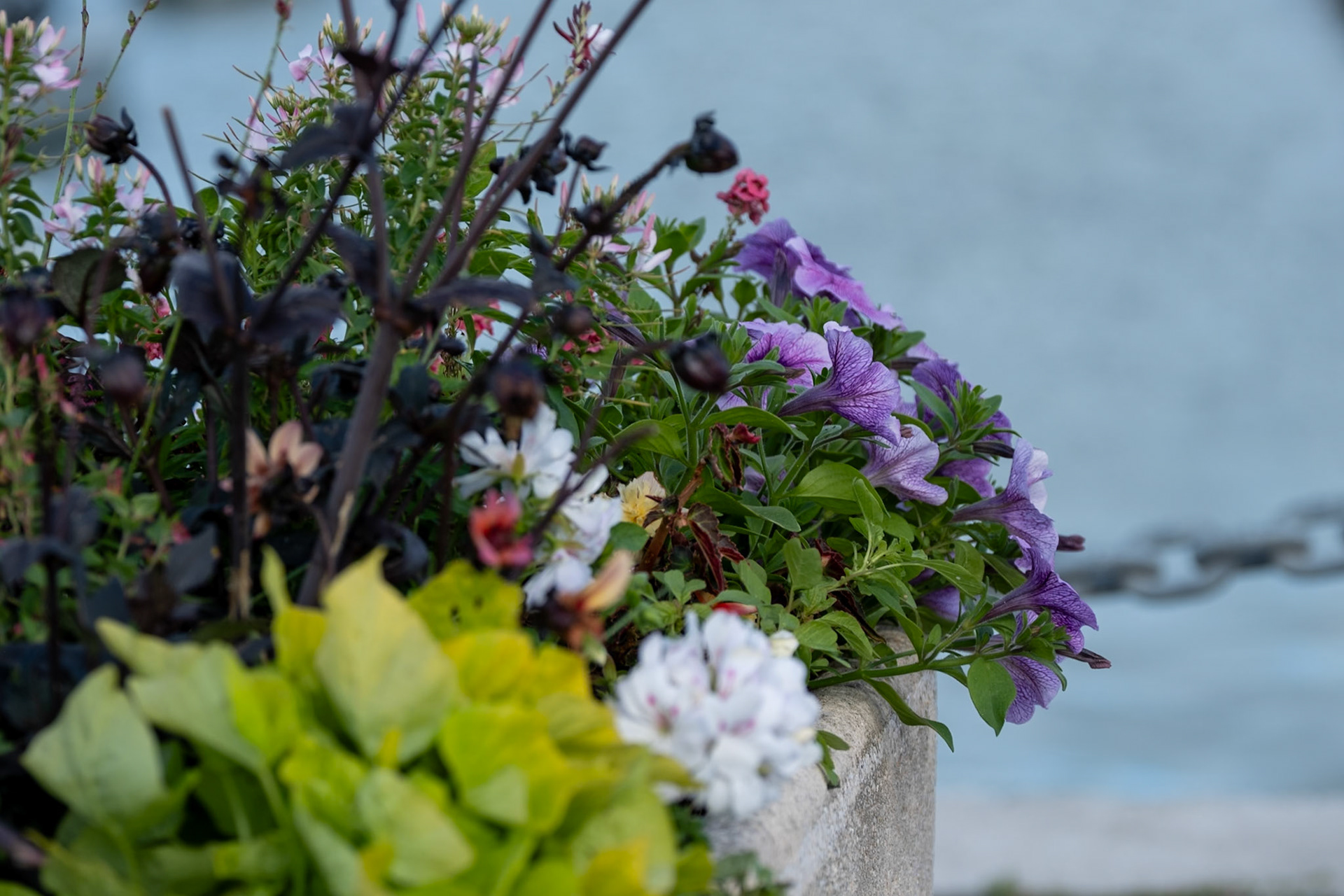 Port de Larmor-Baden dans le golfe du Morbihan