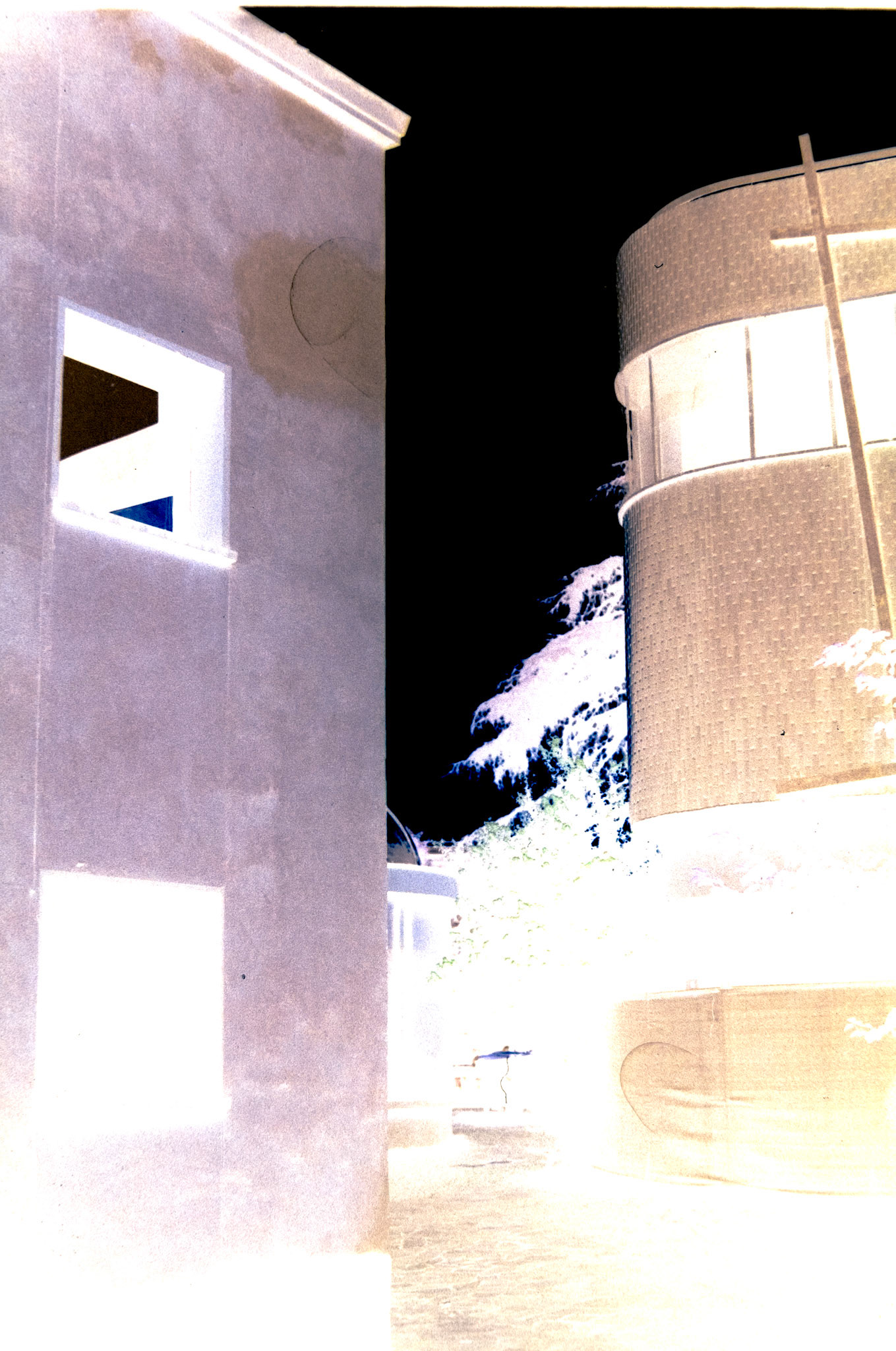 Nikon F5 | KODAK VISION3 250D Color Negative Film 5207/7207 250Lab developed in