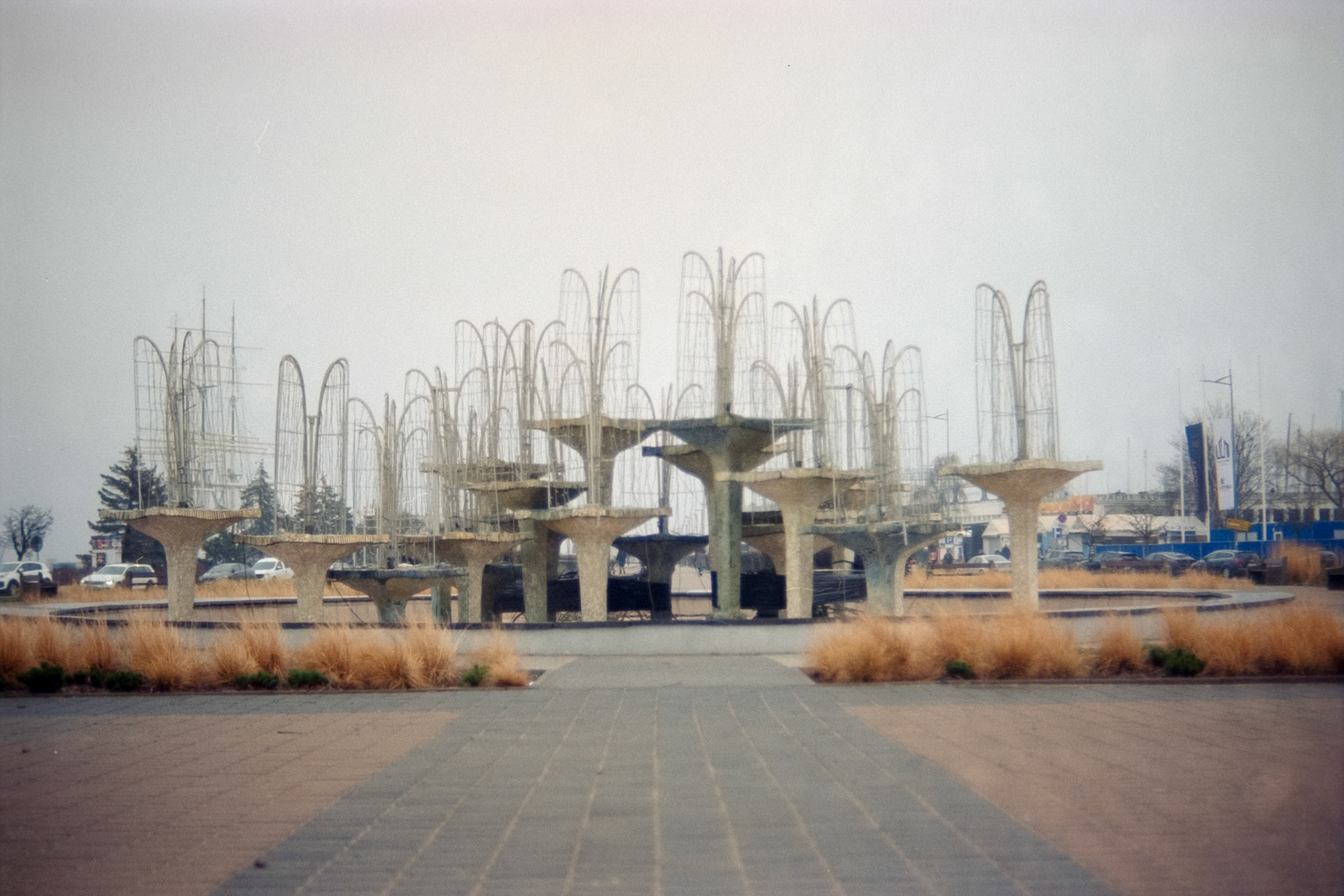 Nikon F5 | Nikkor AF-I 50mm F1.4 | Kodak Vision3 250D 250Lab developed in