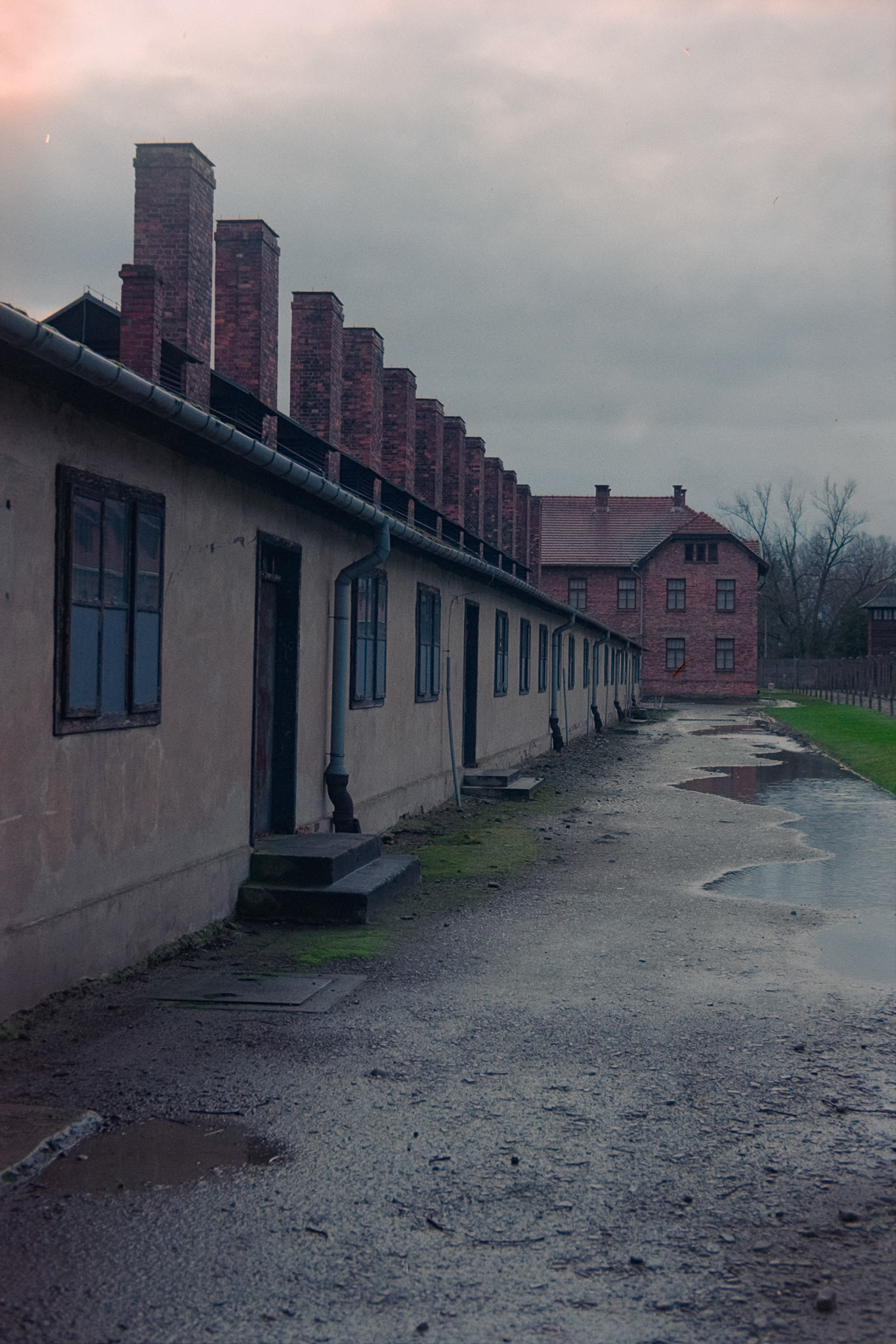 Nikon F5 | Nikkor AF-I 50mm F1.4 | Kodak Ultramax 400 400 @ 800, +1 devLab developed in