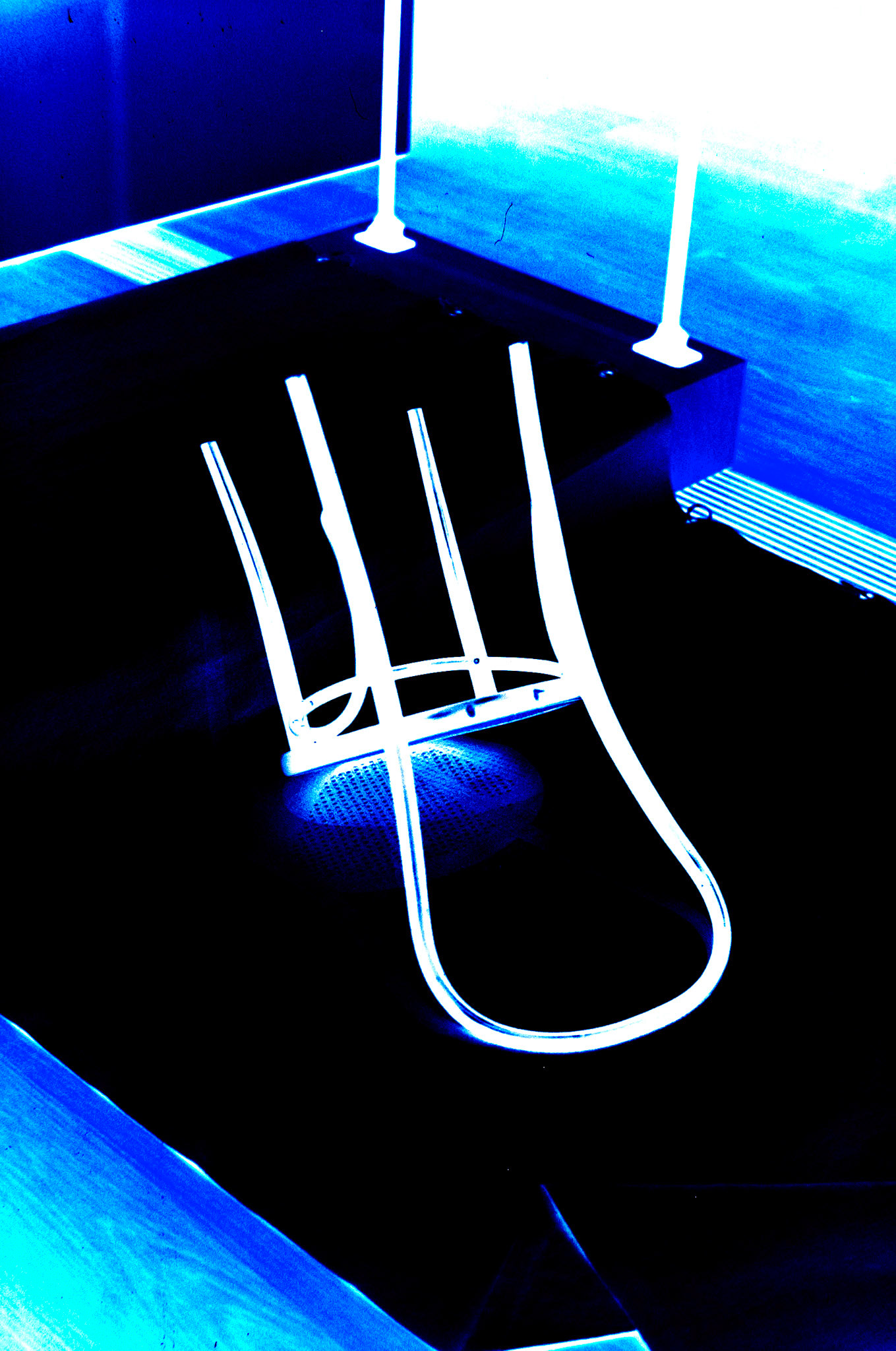 Nikon F5 | KODAK VISION3 50D Color Negative Film 5203/7203 50Lab developed in