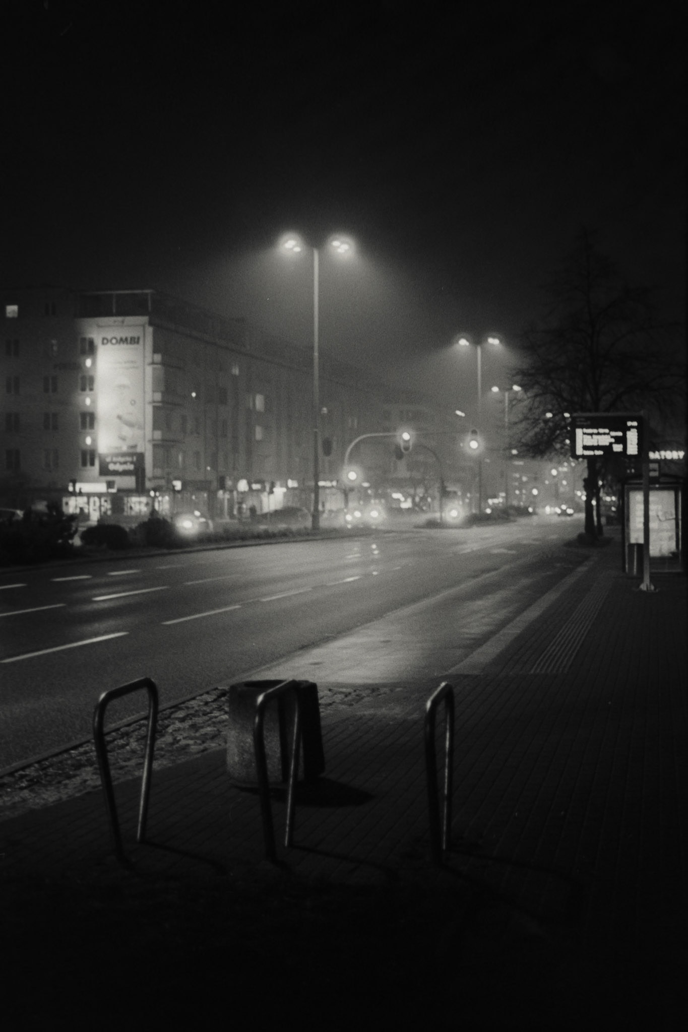 Nikon F5 | Nikkor AF-I 50mm F1.4 | Kodak 400TX 400 @ 800, +1 devLab developed in