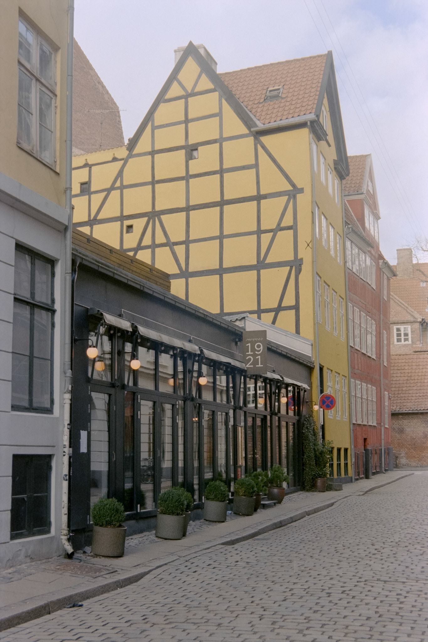 Nikon F5 | Kodak Vision3 250D 250