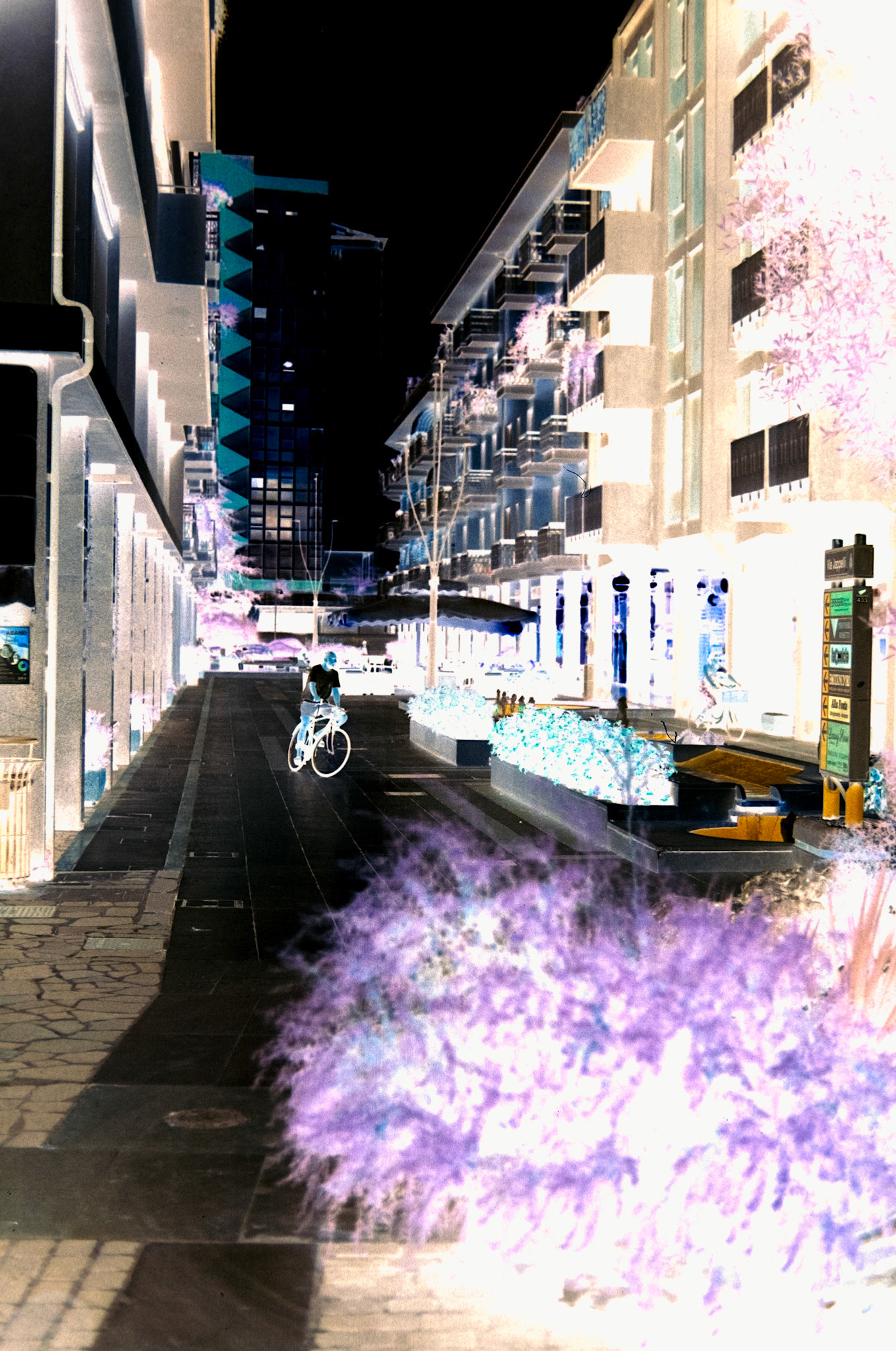 Nikon F5 | KODAK VISION3 250D Color Negative Film 5207/7207 250Lab developed in