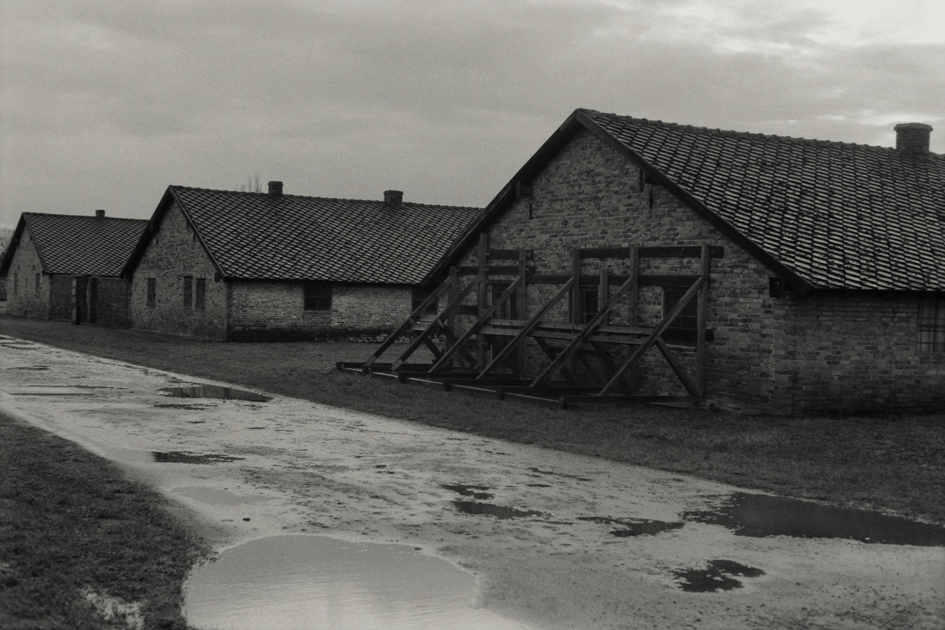 Nikon F5 | Nikkor AF-I 50mm F1.4 | Ilford Delta 400 400 @ 800, +1 devLab developed in