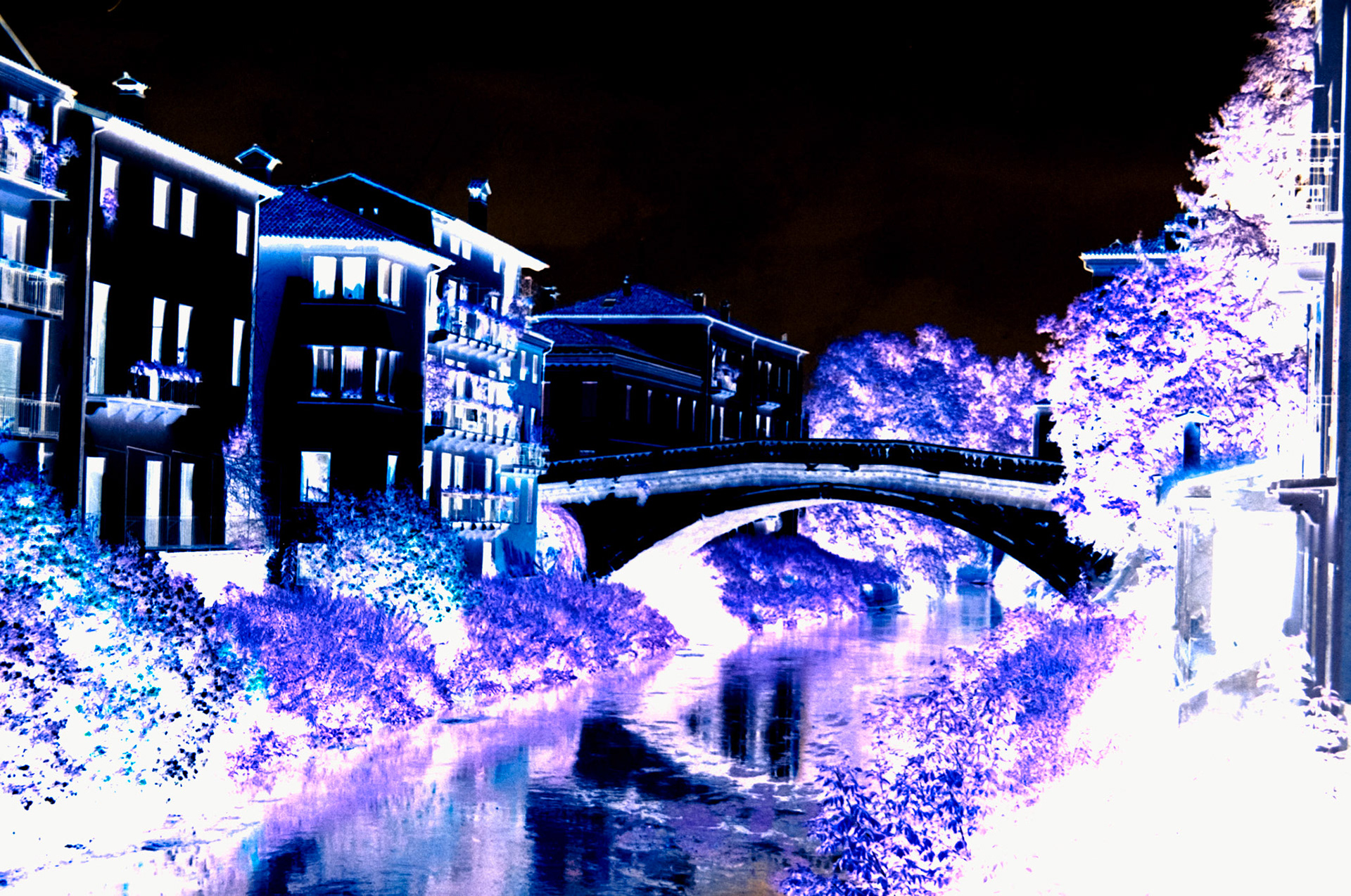 Nikon F5 | KODAK VISION3 250D Color Negative Film 5207/7207 250Lab developed in