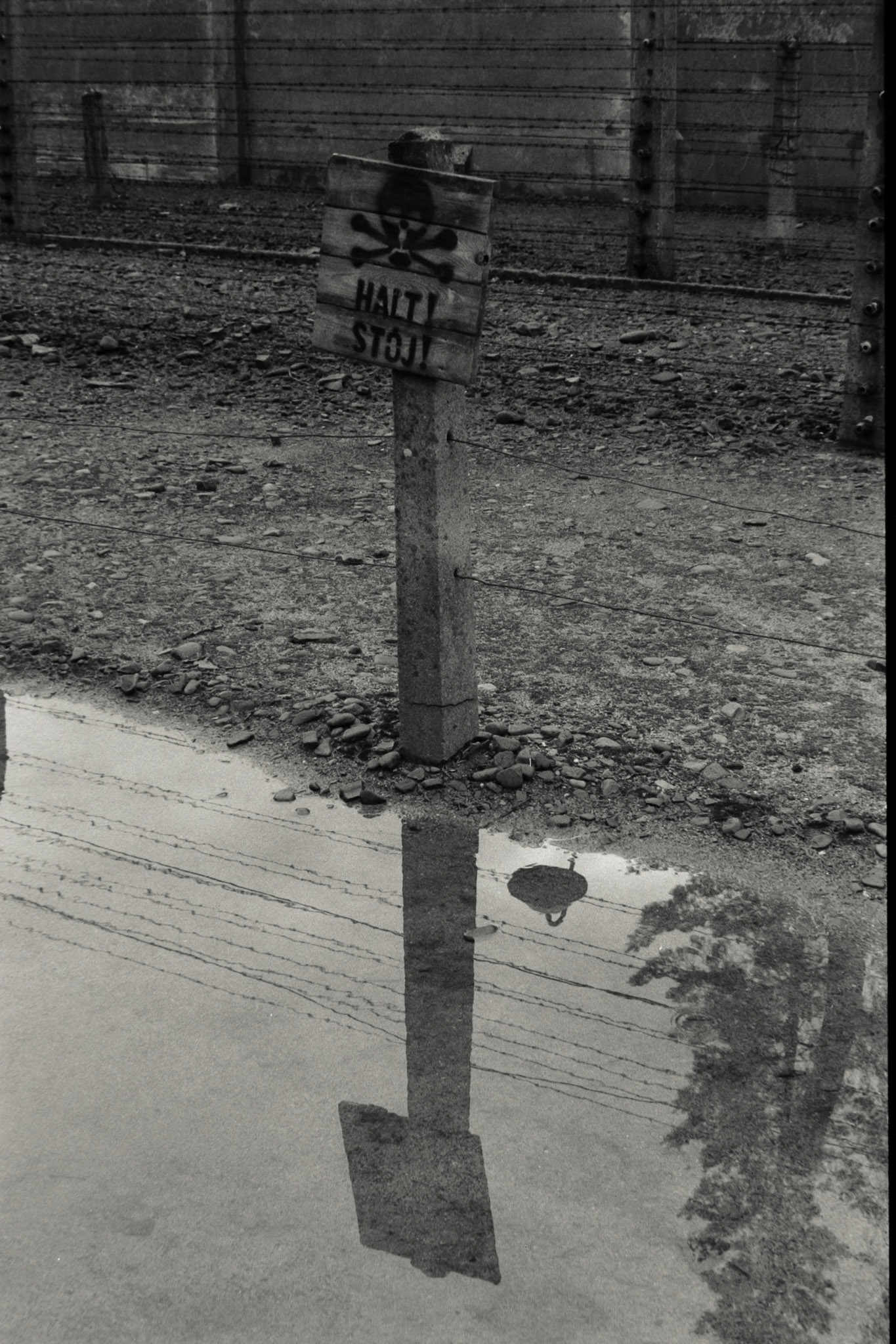 Nikon F5 | Nikkor AF-I 50mm F1.4 | Ilford Delta 400 400 @ 800, +1 devLab developed in