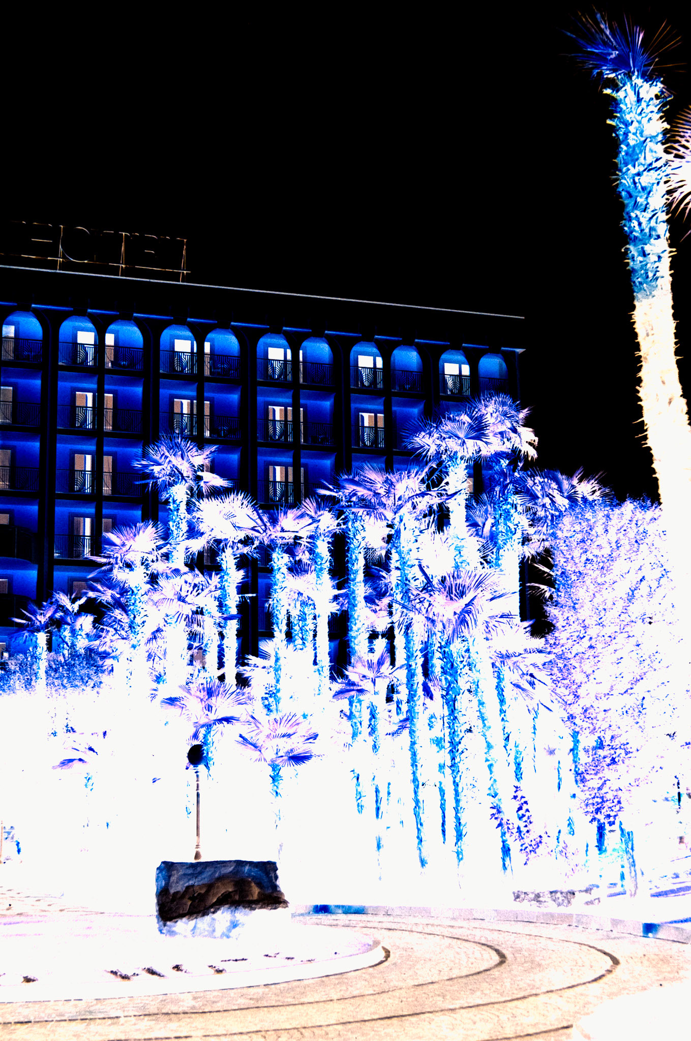 Nikon F5 | KODAK VISION3 250D Color Negative Film 5207/7207 250Lab developed in