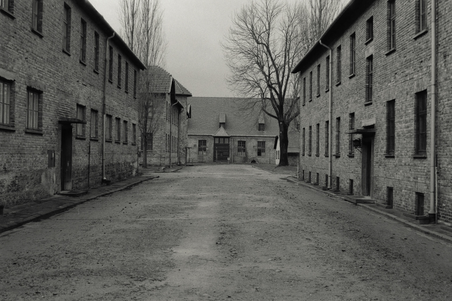 Nikon F5 | Nikkor AF-I 50mm F1.4 | Ilford Delta 400 400 @ 800, +1 devLab developed in