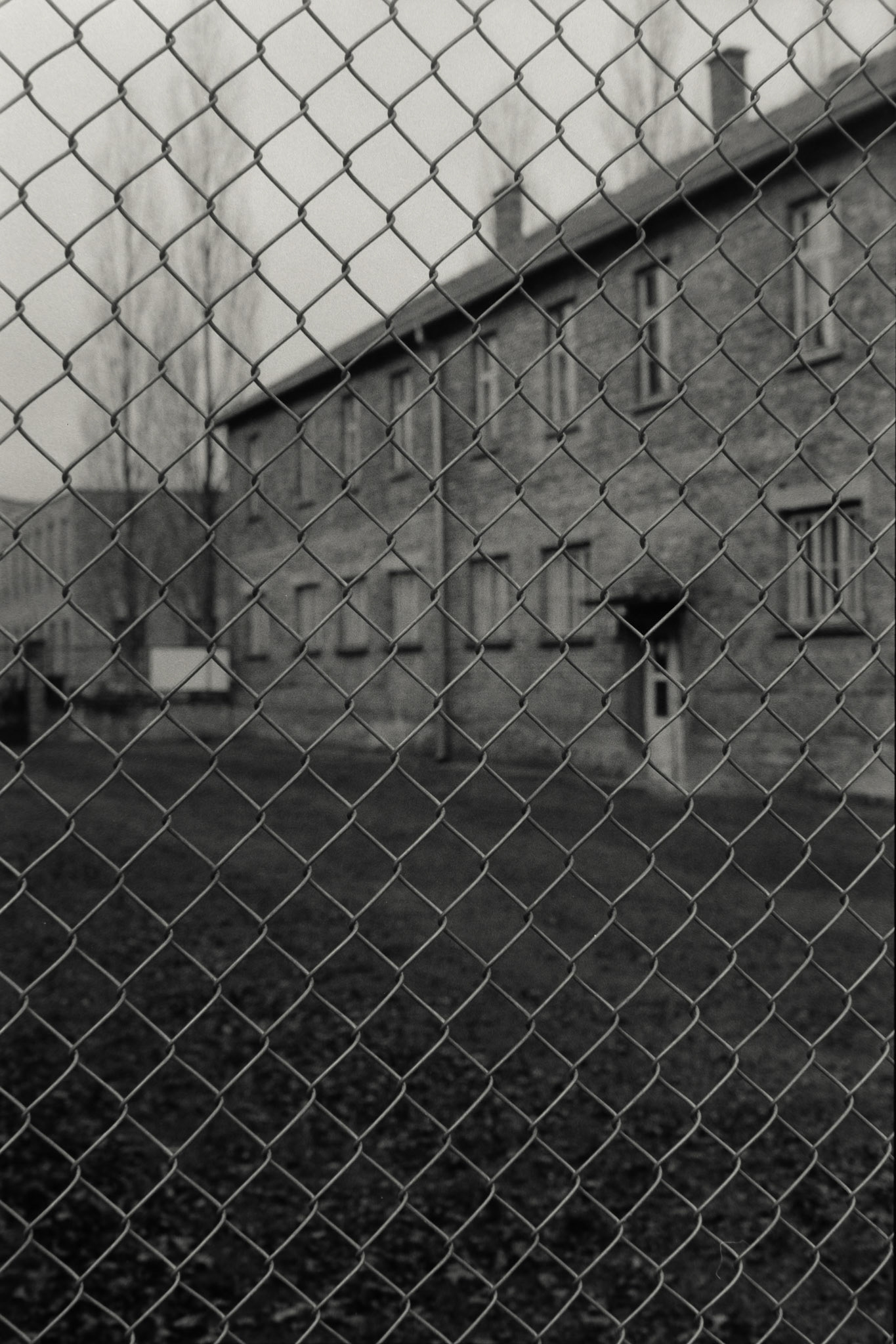 Nikon F5 | Nikkor AF-I 50mm F1.4 | Ilford Delta 400 400 @ 800, +1 devLab developed in