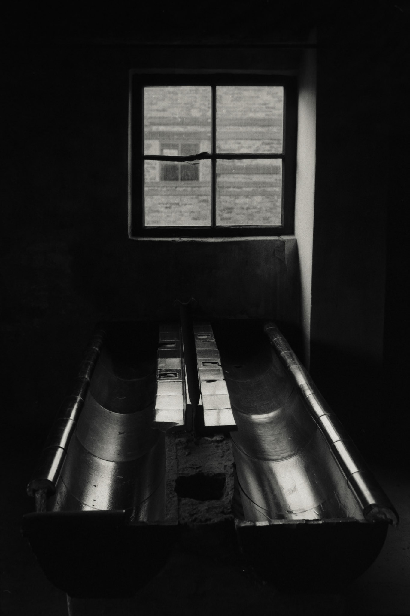 Nikon F5 | Nikkor AF-I 50mm F1.4 | Ilford Delta 400 400 @ 800, +1 devLab developed in