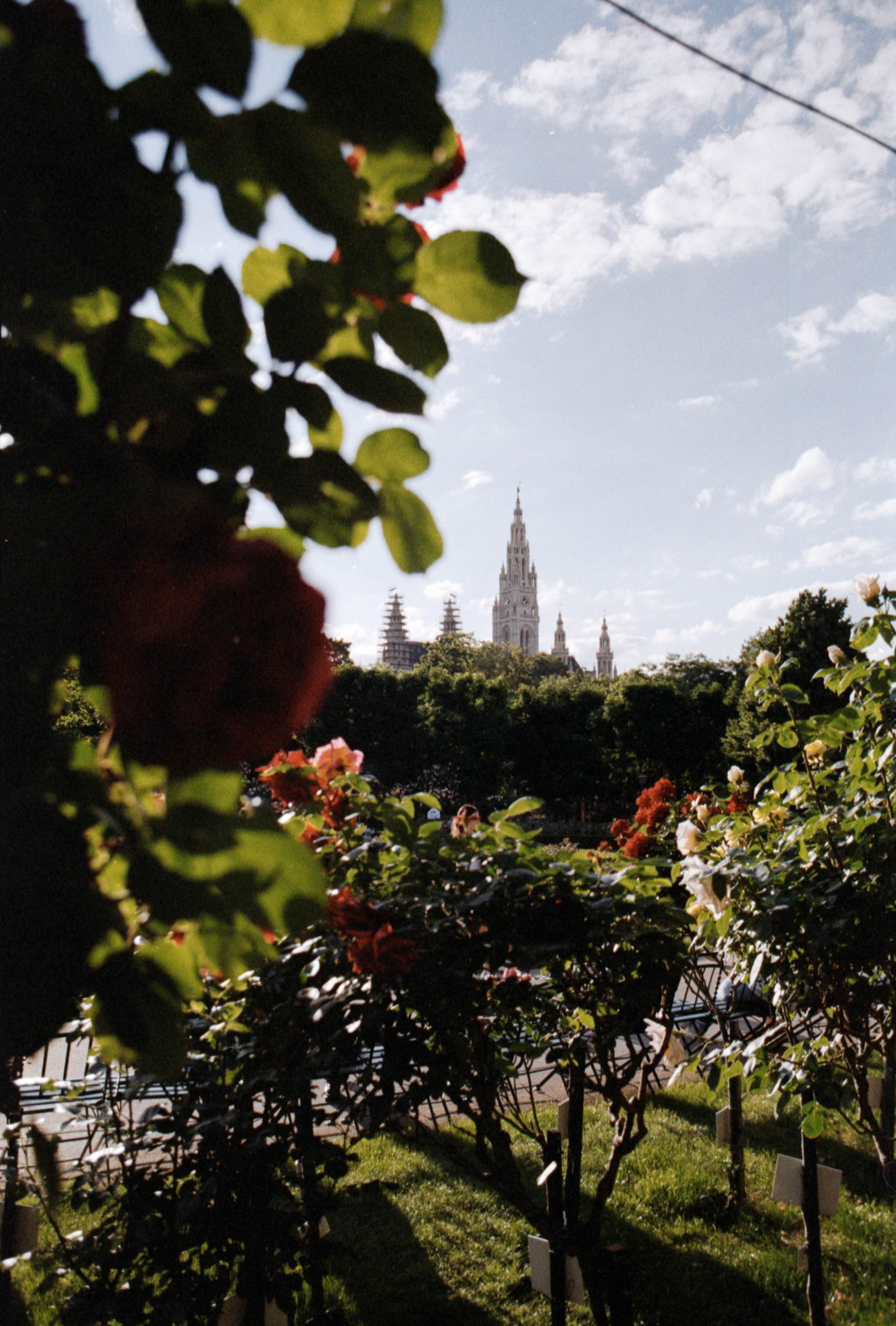 Canon AV-1 | Kodak Pro Image 100 100Scanned with Epson V600