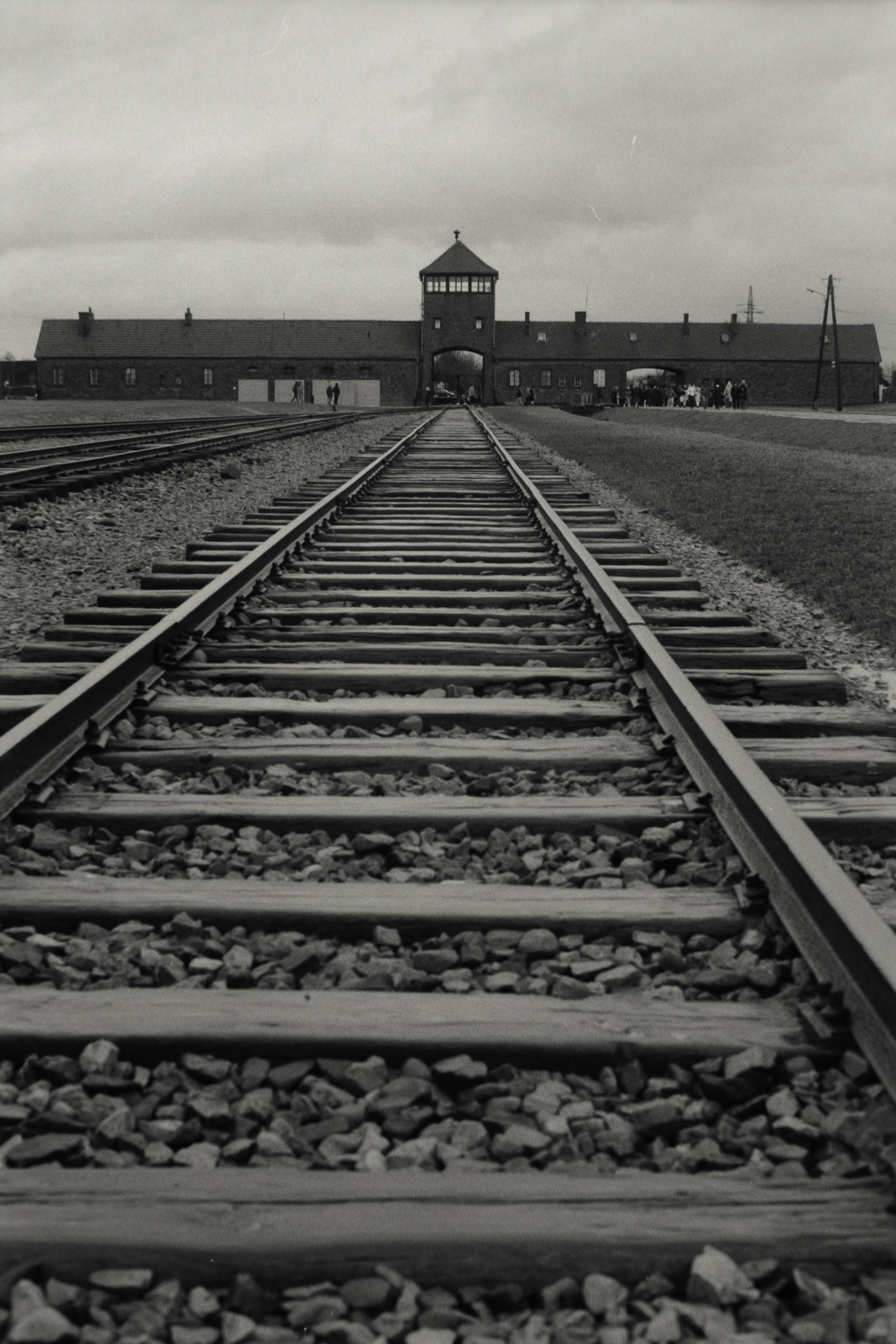 Nikon F5 | Nikkor AF-I 50mm F1.4 | Ilford Delta 400 400 @ 800, +1 devLab developed in