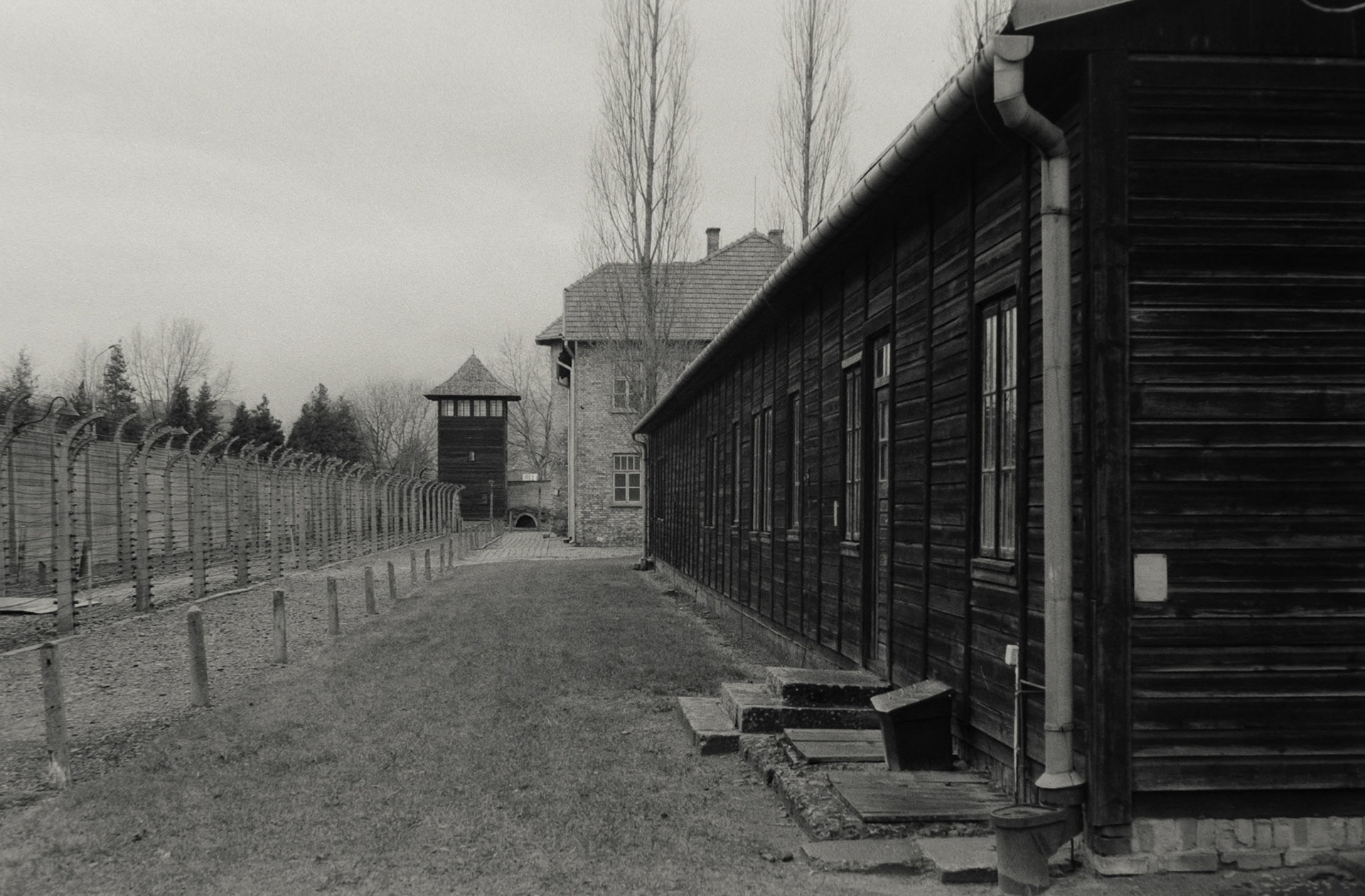 Nikon F5 | Nikkor AF-I 50mm F1.4 | Delta 400 400 @ 800, +1 devLab developed in