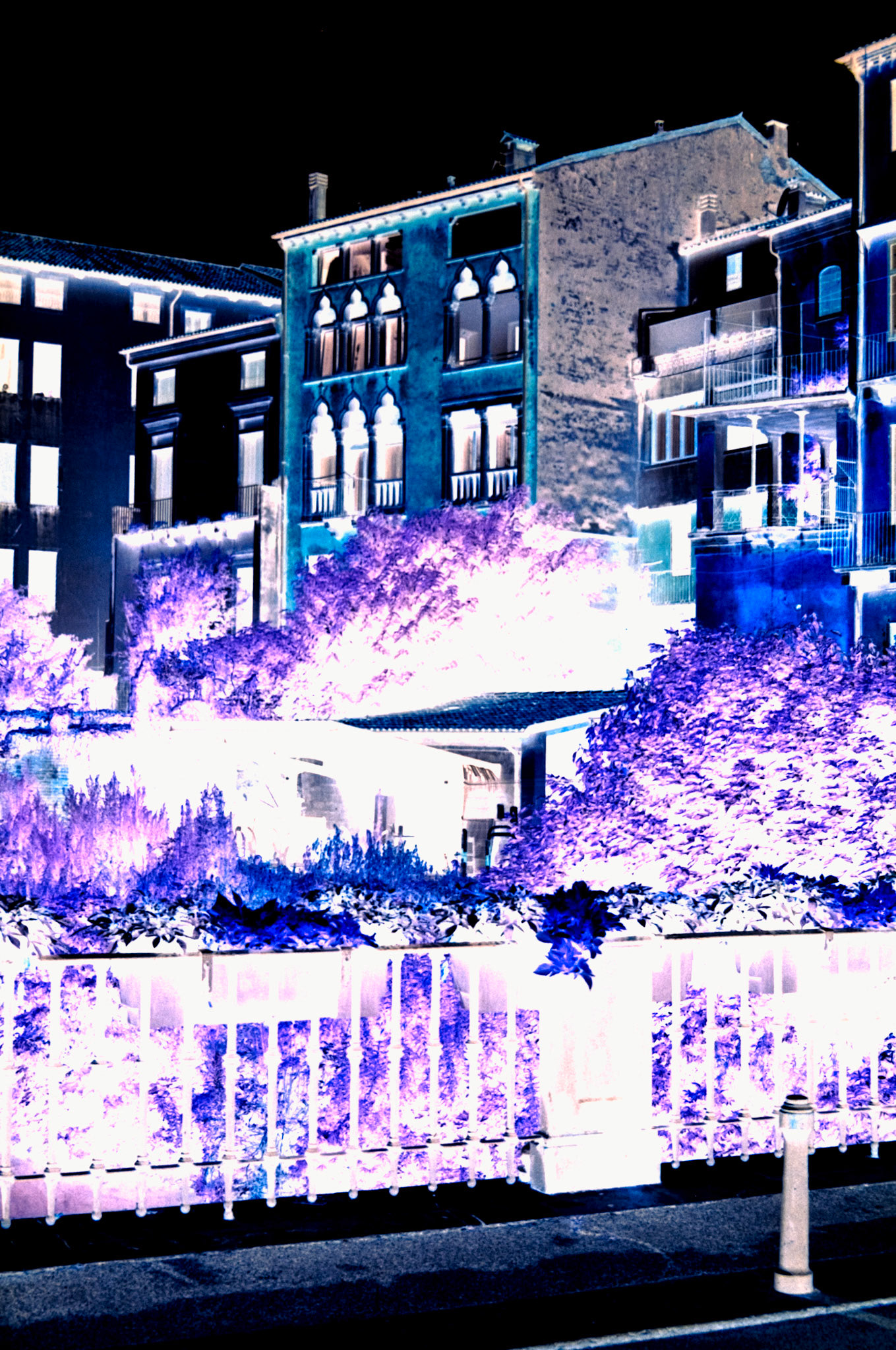 Nikon F5 | KODAK VISION3 250D Color Negative Film 5207/7207 250Lab developed in