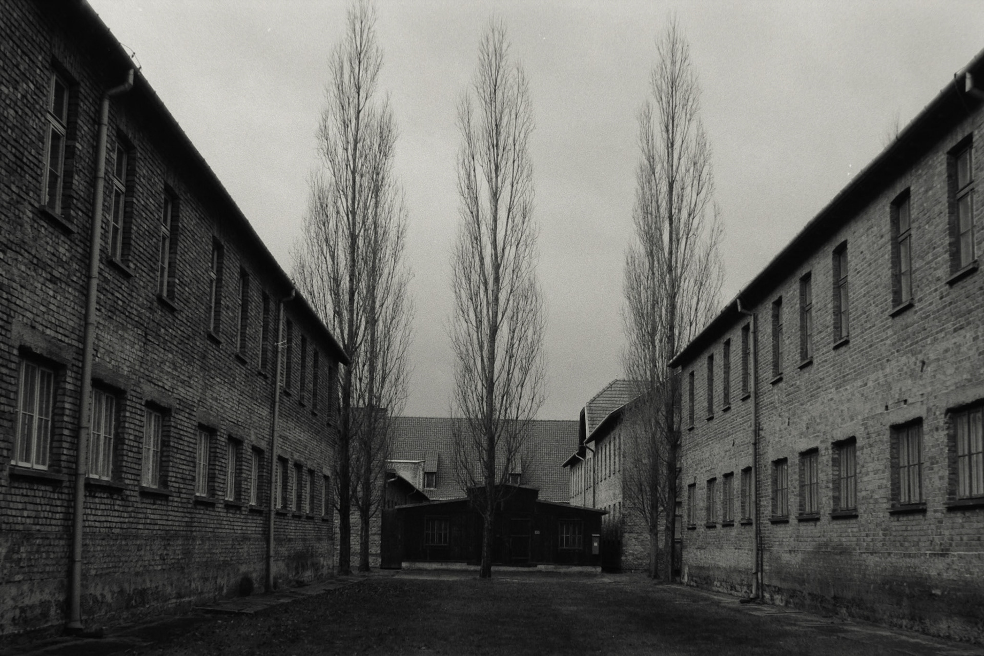 Nikon F5 | Nikkor AF-I 50mm F1.4 | Ilford Delta 400 400 @ 800, +1 devLab developed in