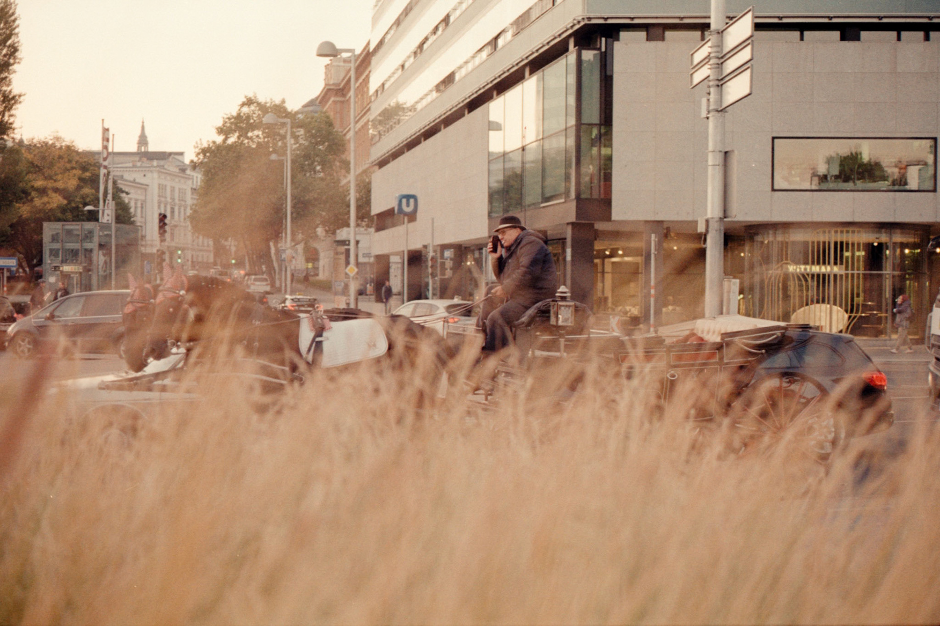 Canon AV-1 | Kodak Pro Image 100  100Scanned with Epson V600Home developed in