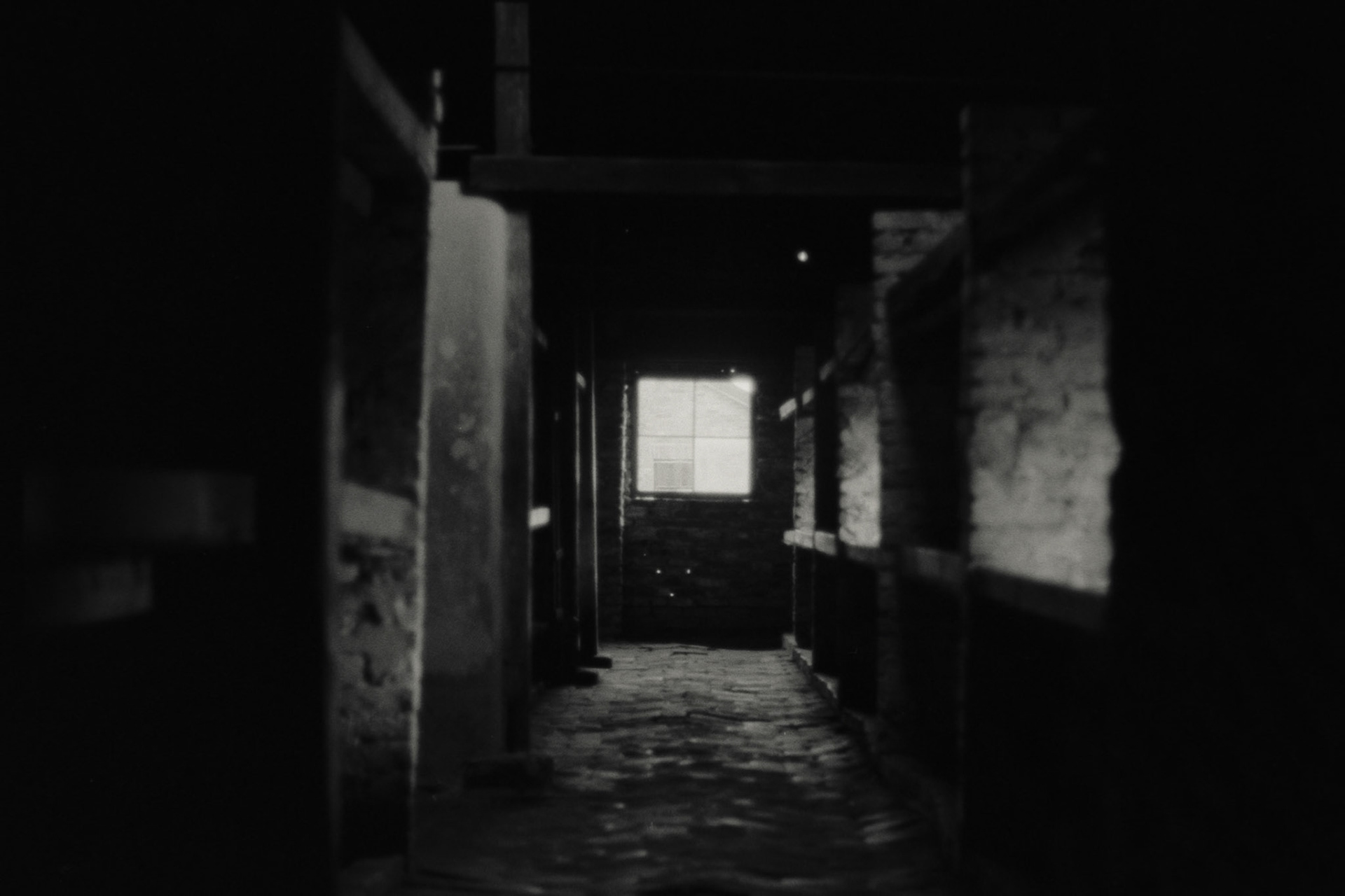 Nikon F5 | Nikkor AF-I 50mm F1.4 | Ilford Delta 400 400 @ 800, +1 devLab developed in