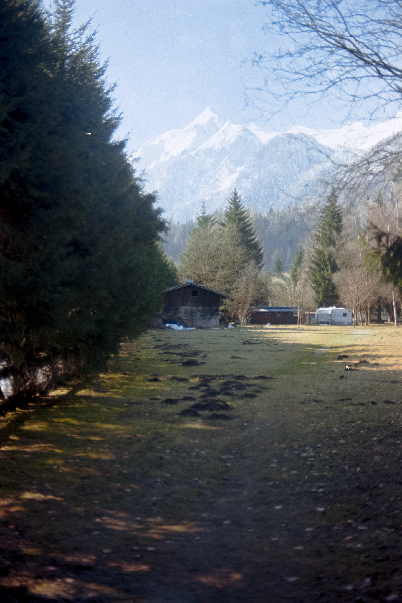 Nikon F5 | Kodak Pro Image 100 100Lab developed in