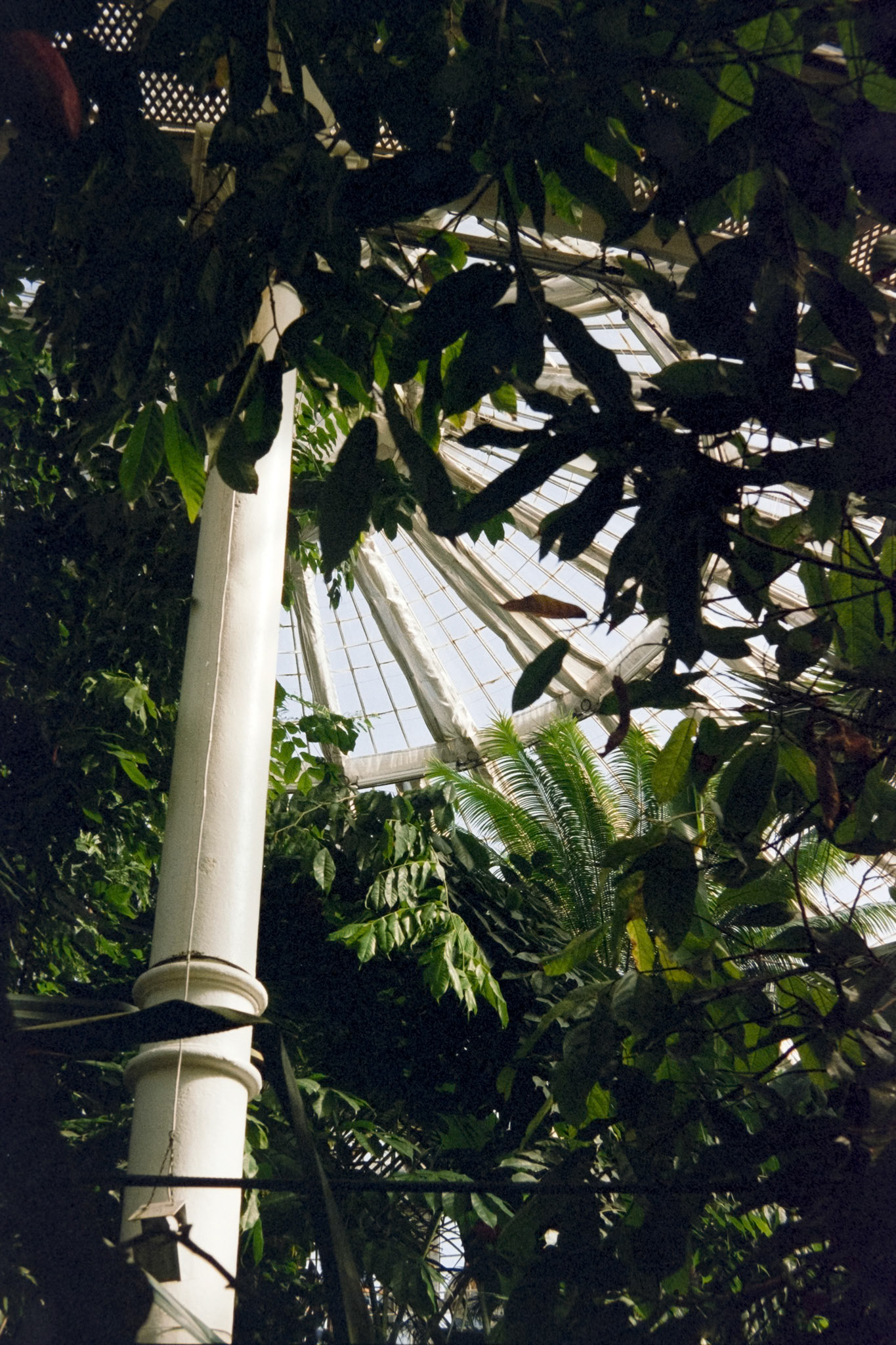 Nikon F5 | Kodak Vision3 250D 250