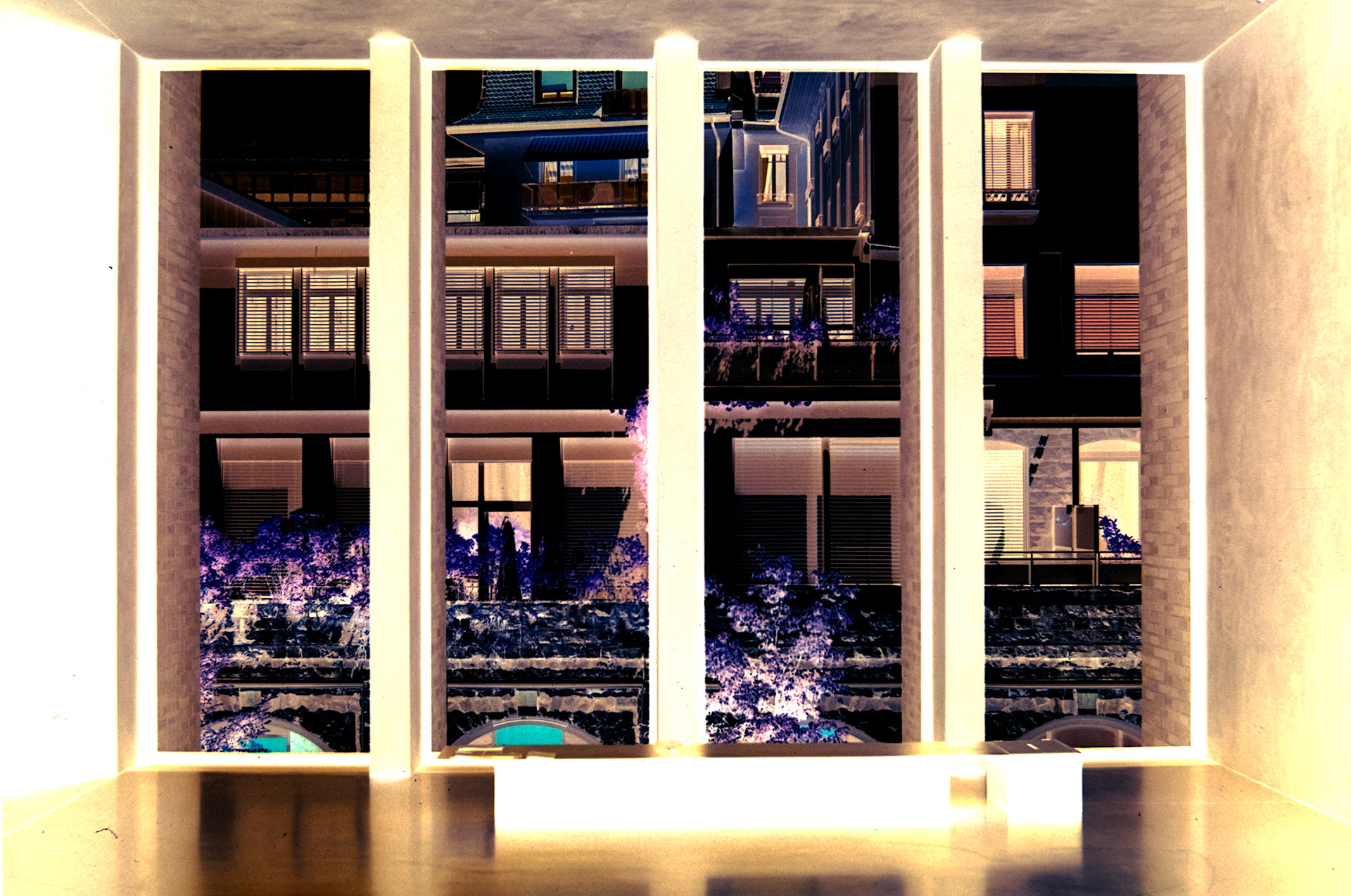 Nikon F5 | KODAK VISION3 50D Color Negative Film 5203/7203 50Lab developed in