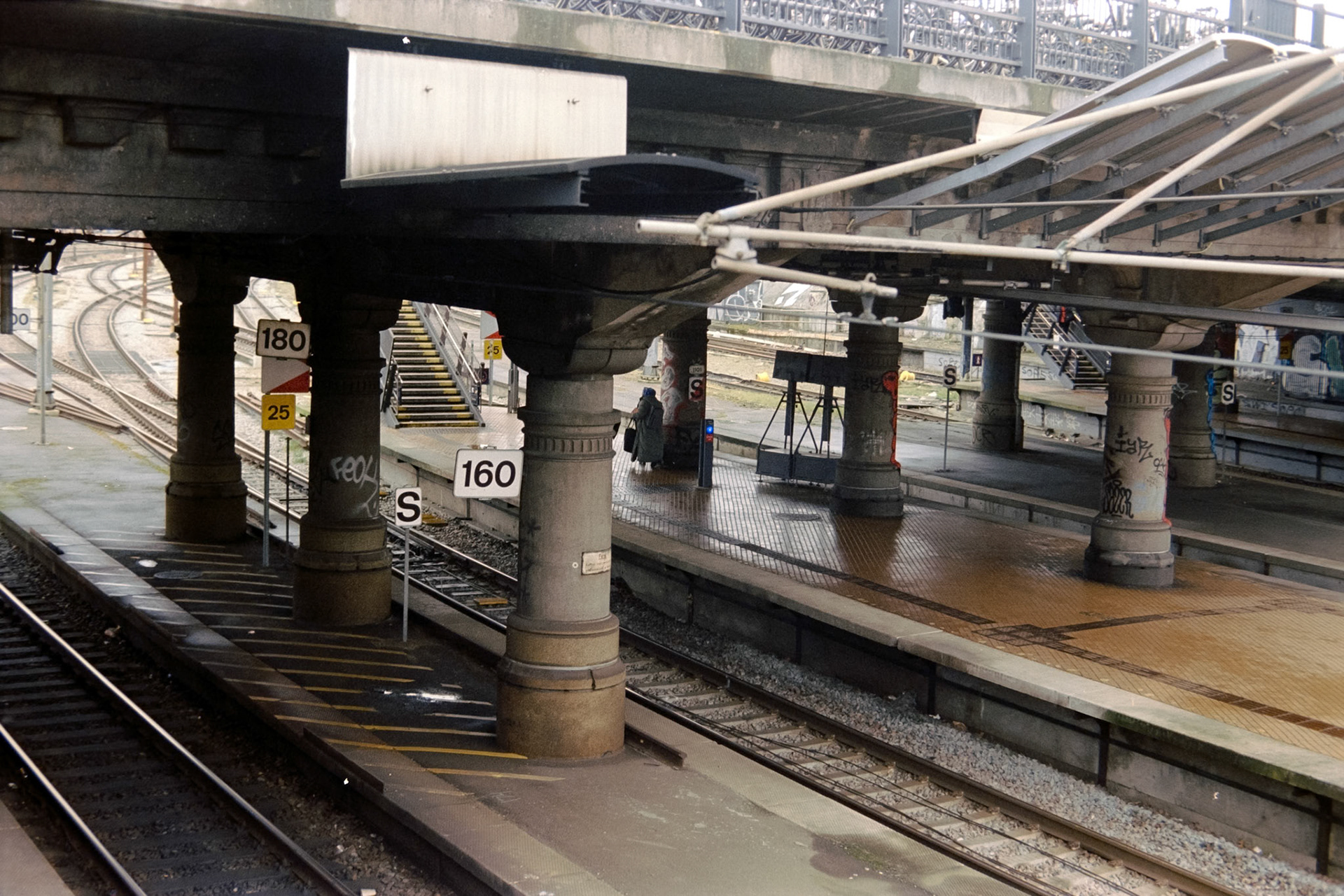 Nikon F5 | Kodak Vision3 250D 250