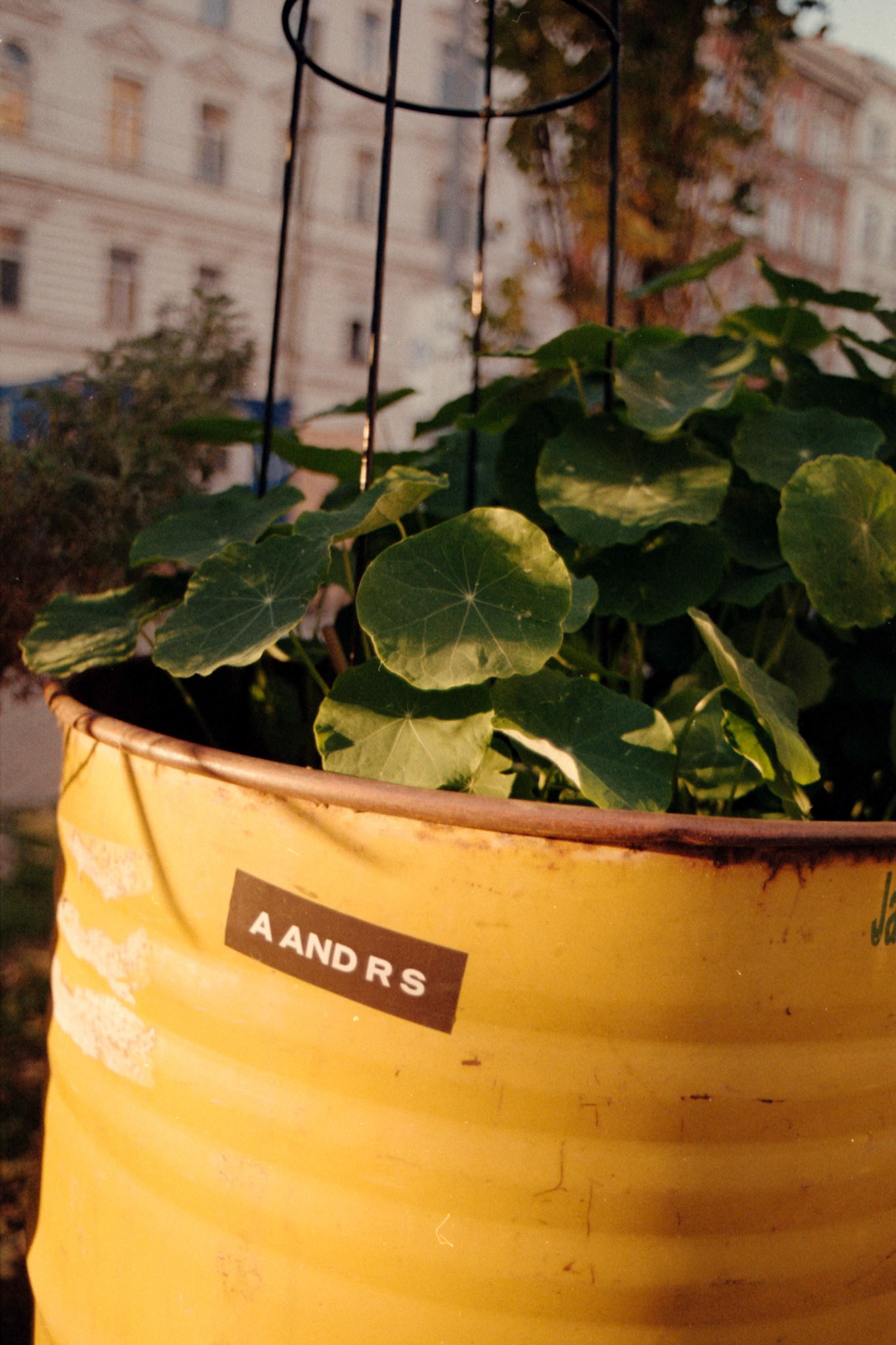 Canon AV-1 | Kodak Pro Image 100  100Scanned with Epson V600Home developed in