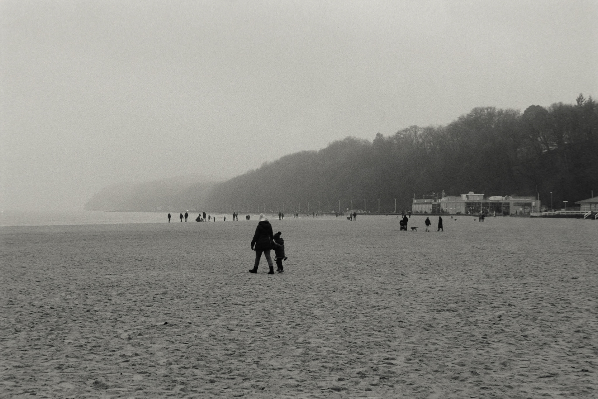 Nikon F5 | Nikkor AF-I 50mm F1.4 | Kodak 400TX 400 @ 800, +1 devLab developed in