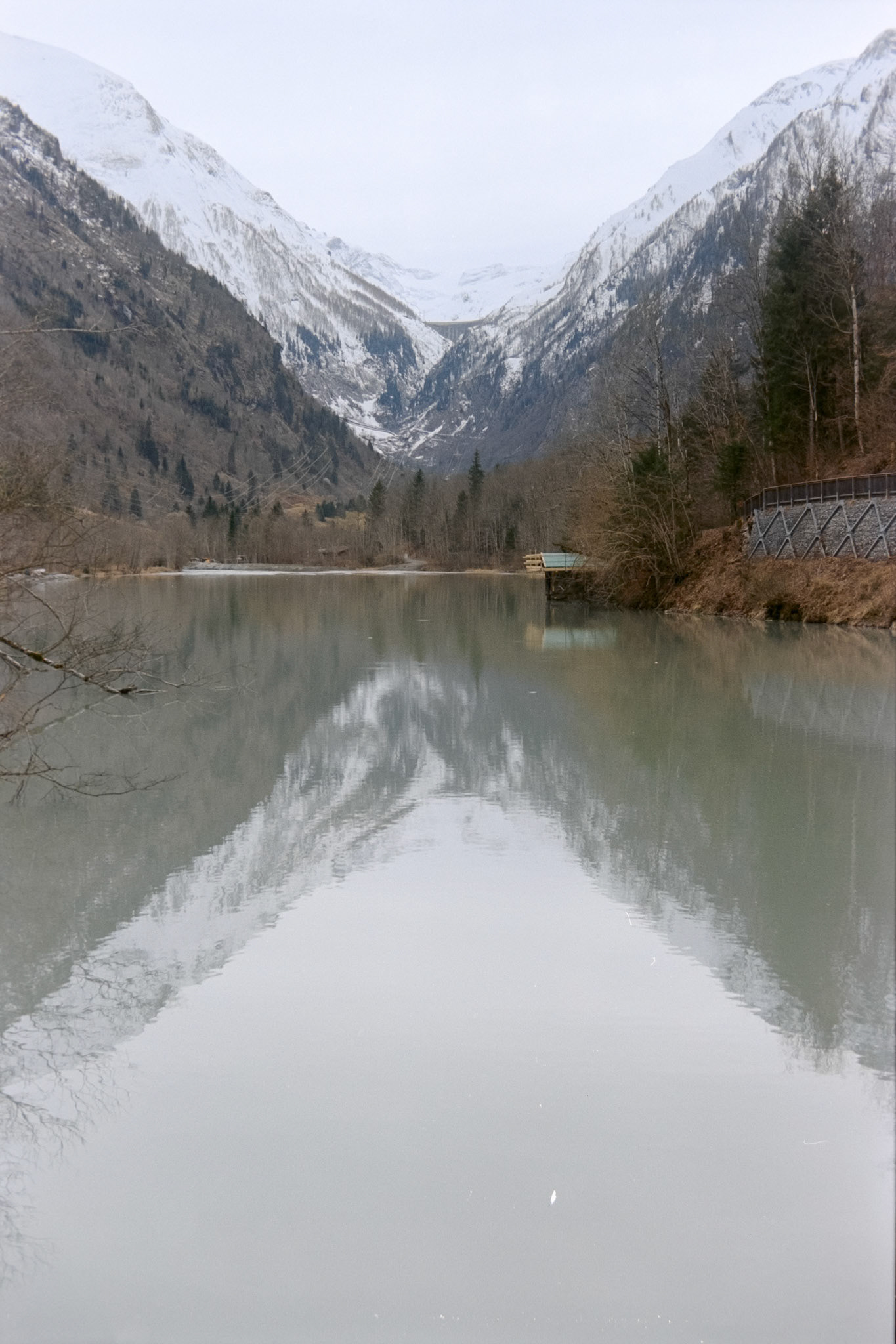 Nikon F5 | Kodak Vision3 250D 250