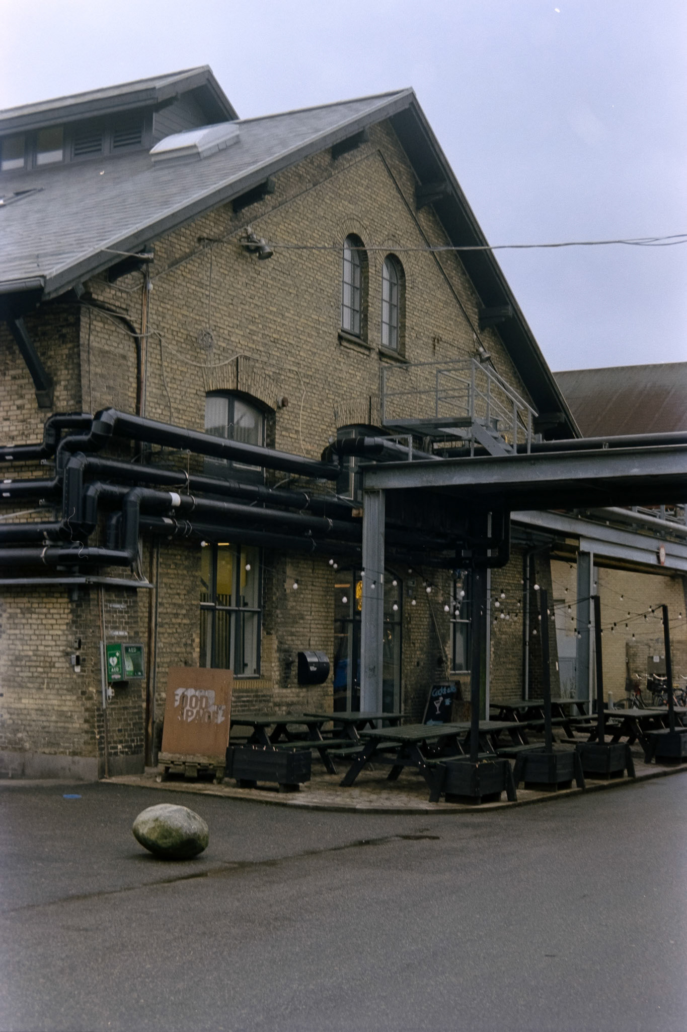 Nikon F5 | Kodak Vision3 250D 250