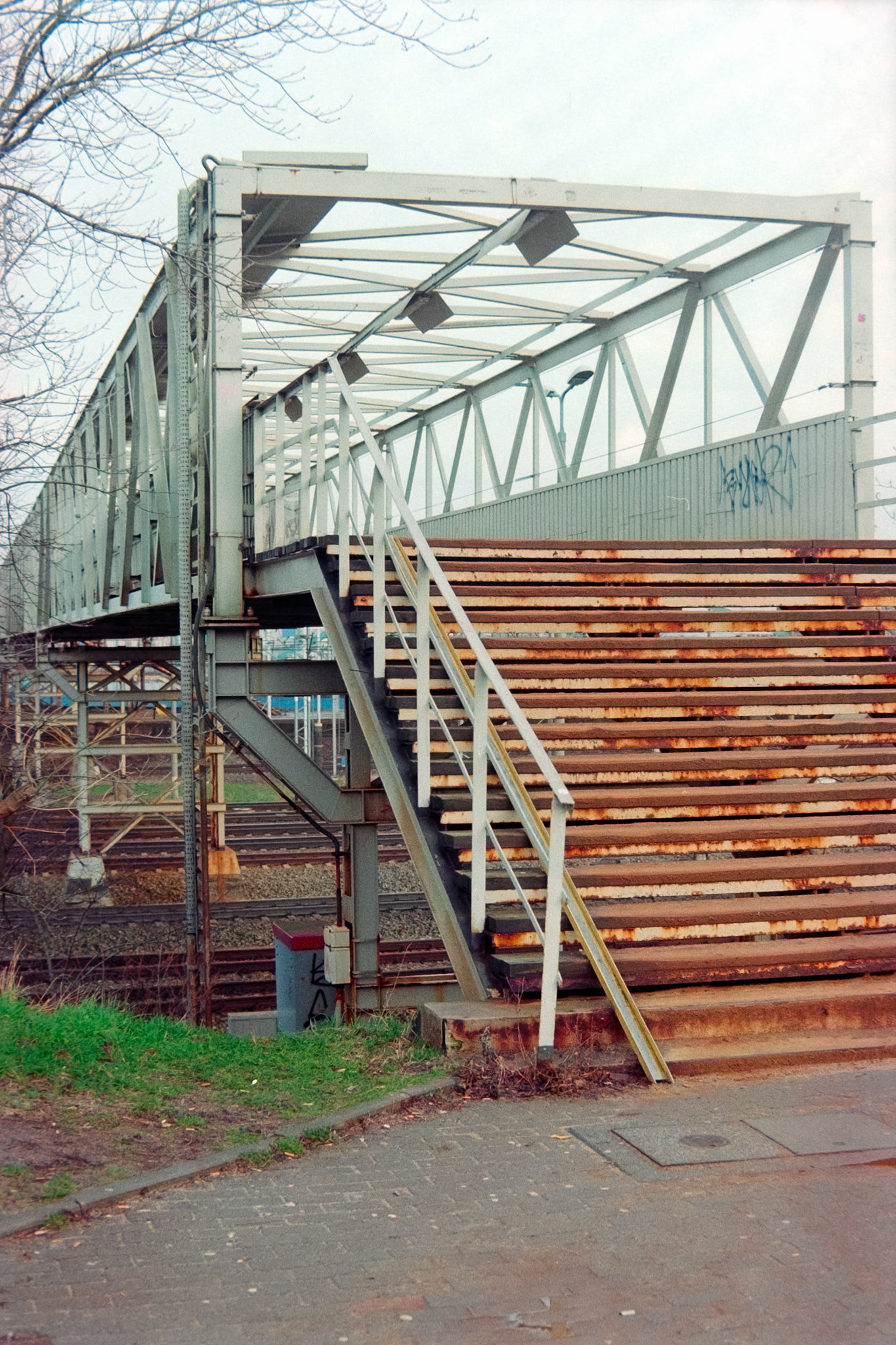 Nikon F5 | Nikkor AF-I 50mm F1.4 | Kodak Pro Image 100 100Lab developed in