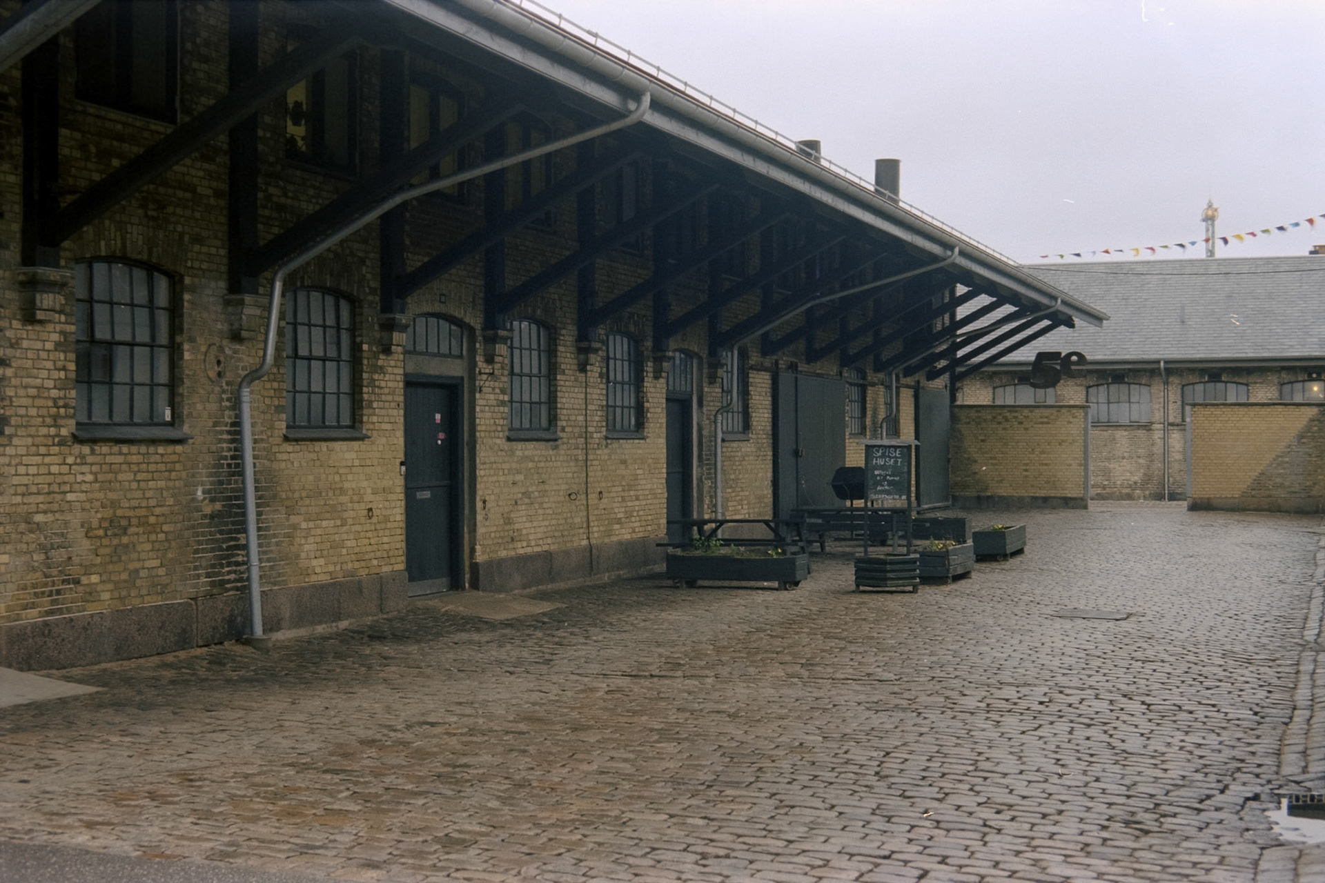 Nikon F5 | Kodak Vision3 250D 250